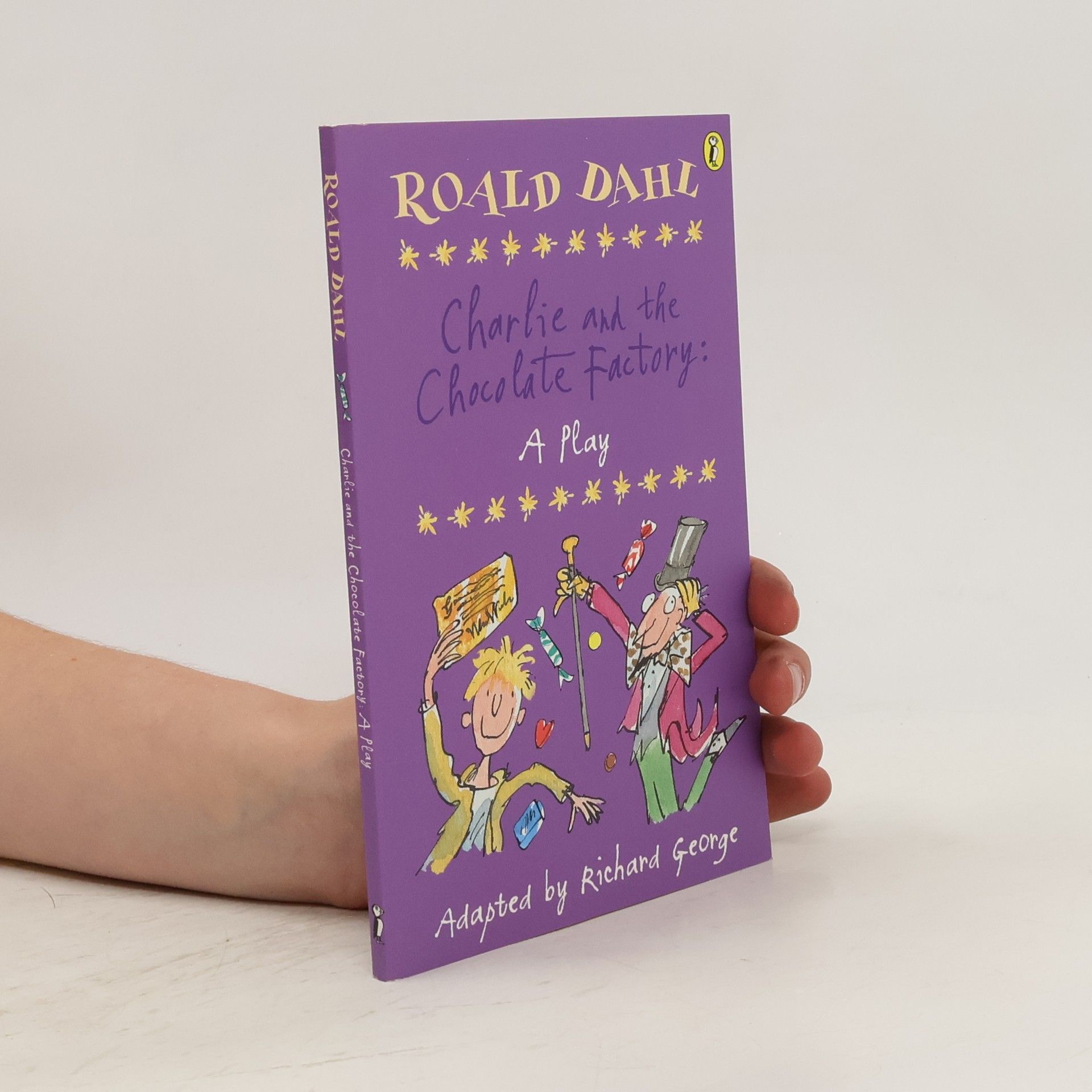 Roald Dahl Charlie and the Chocolate Factory