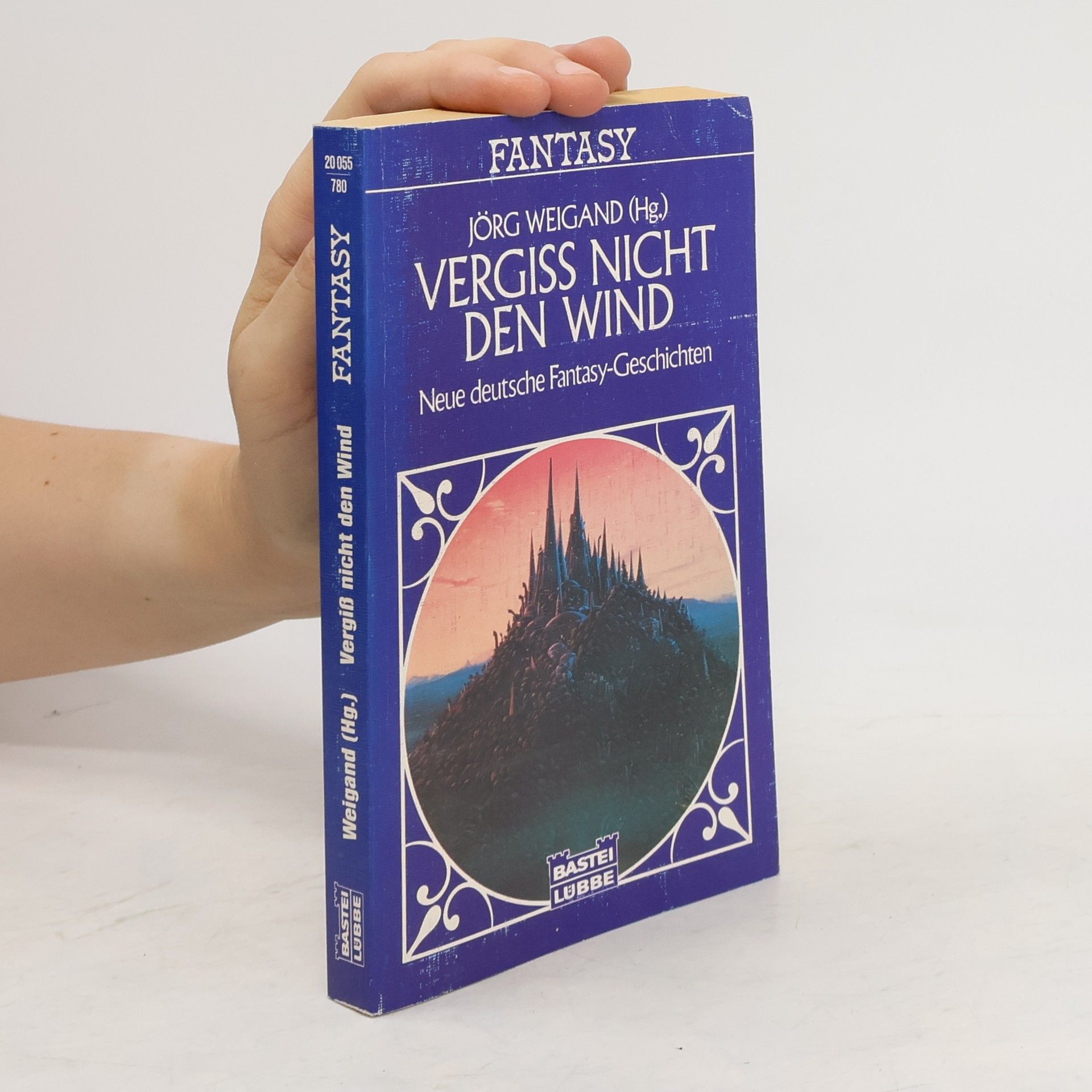 Jörg Weigand Vergiss nicht den Wind