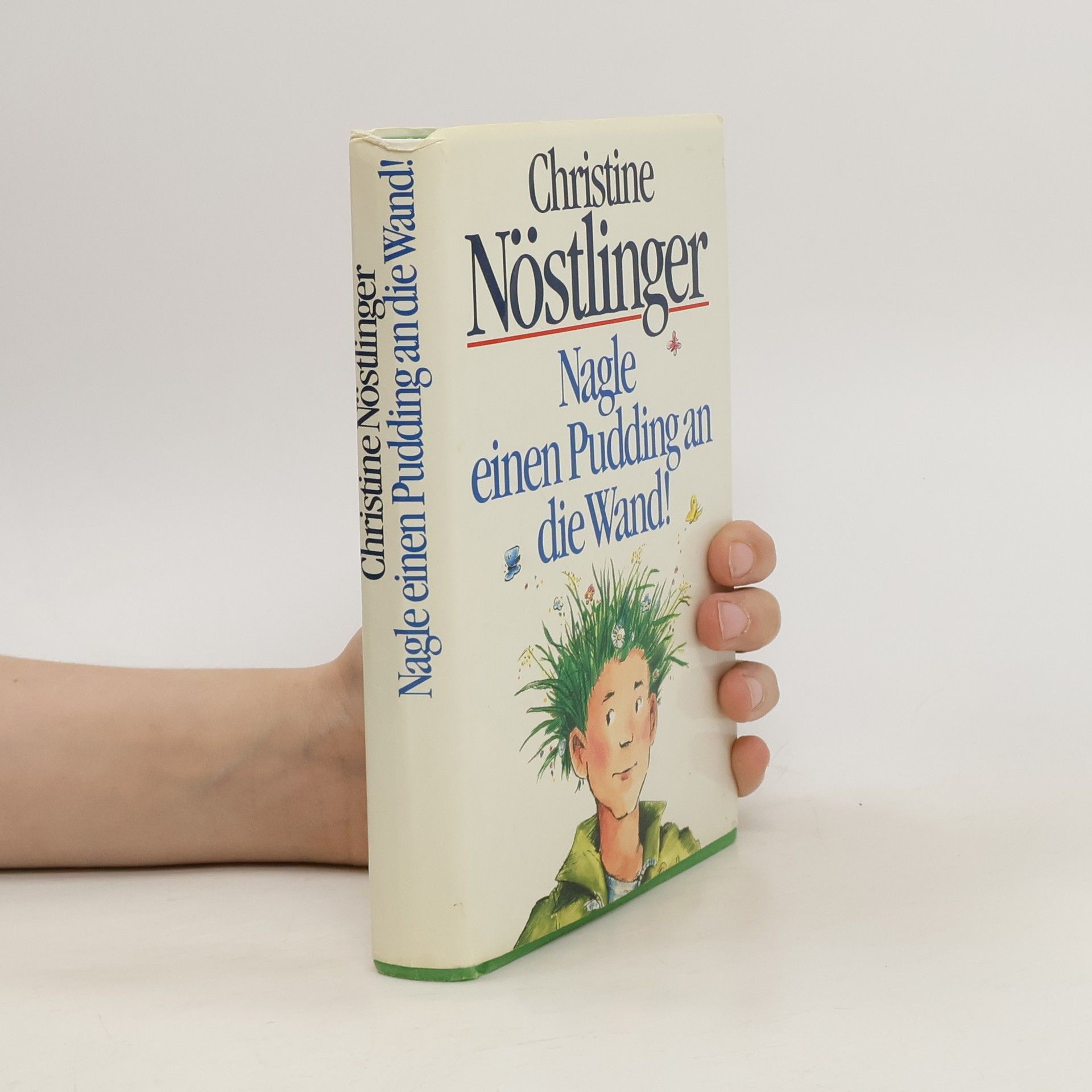 Christine Nöstlinger Nagle einen Pudding an die Wand!