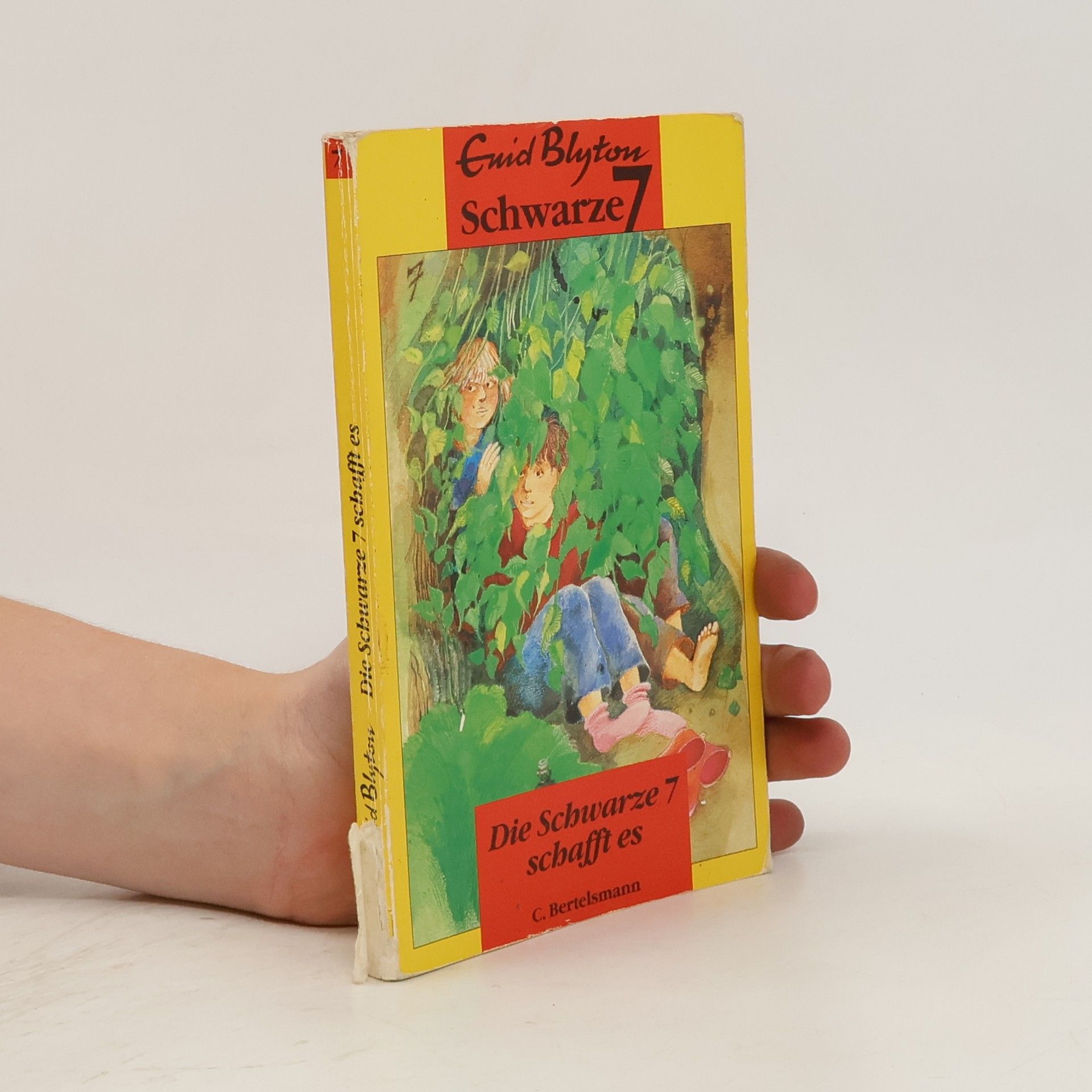 Enid Blyton Die Schwarze Sieben schafft es