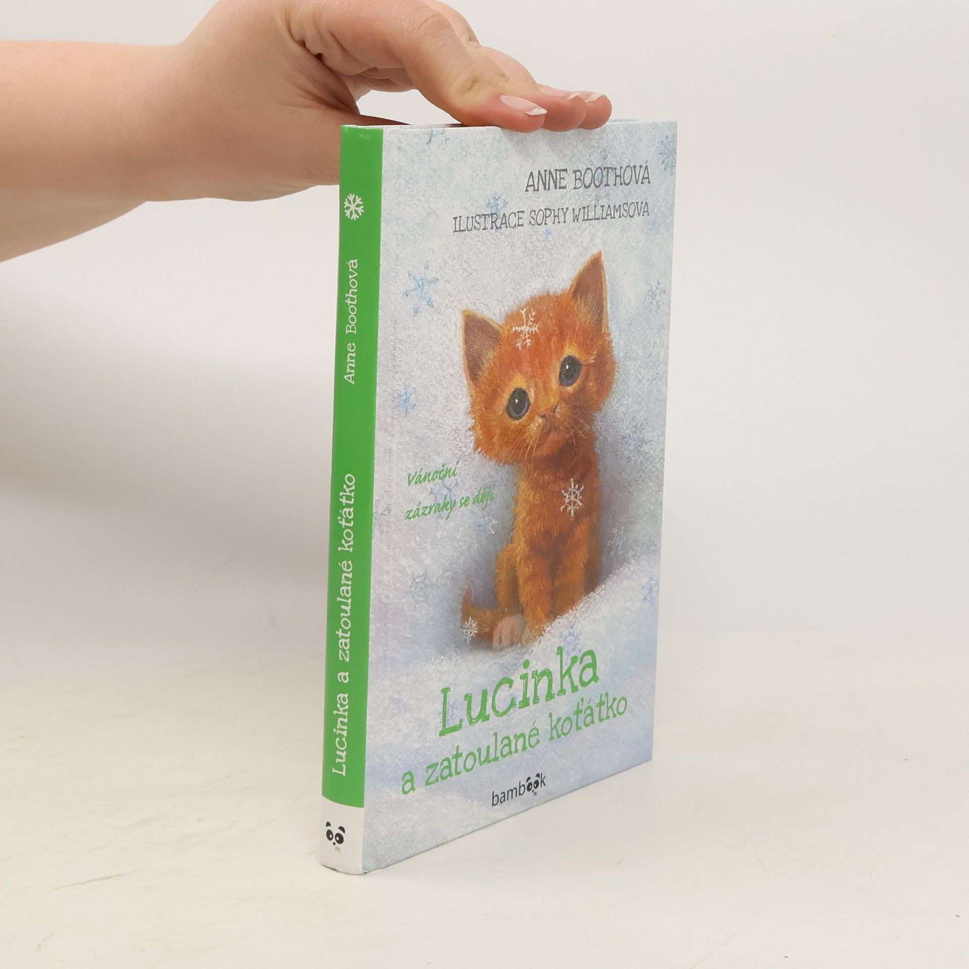 Anne Booth Lucinka a zatoulané koťátko