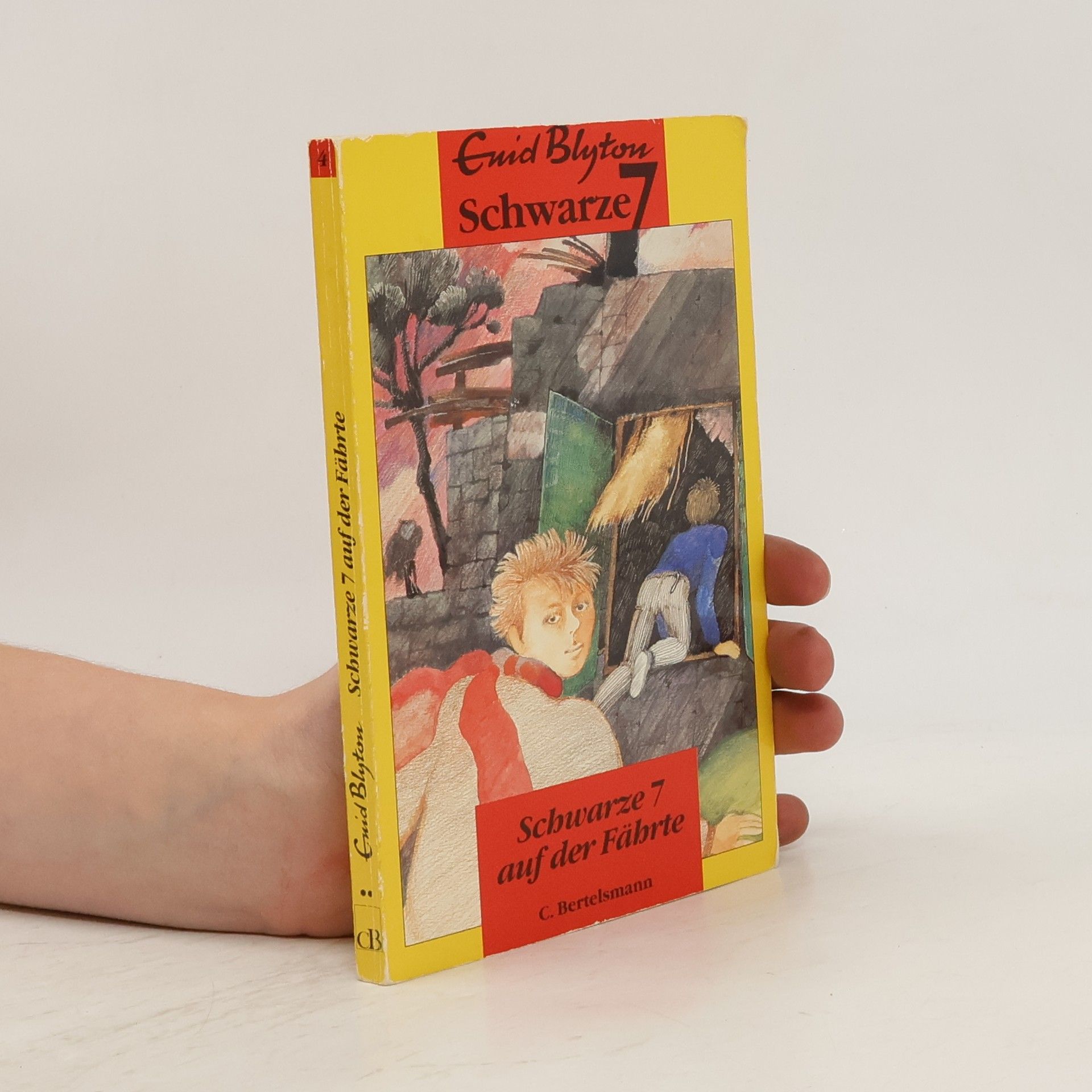 Enid Blyton Die schwarze 7 auf der Fährte