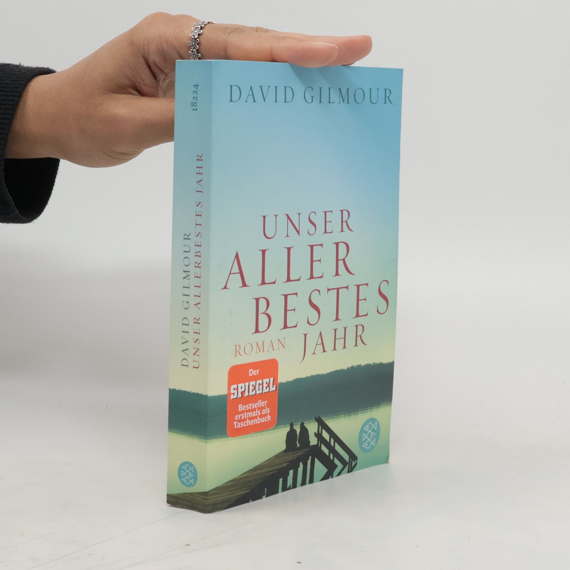 David Gilmour Unser allerbestes Jahr