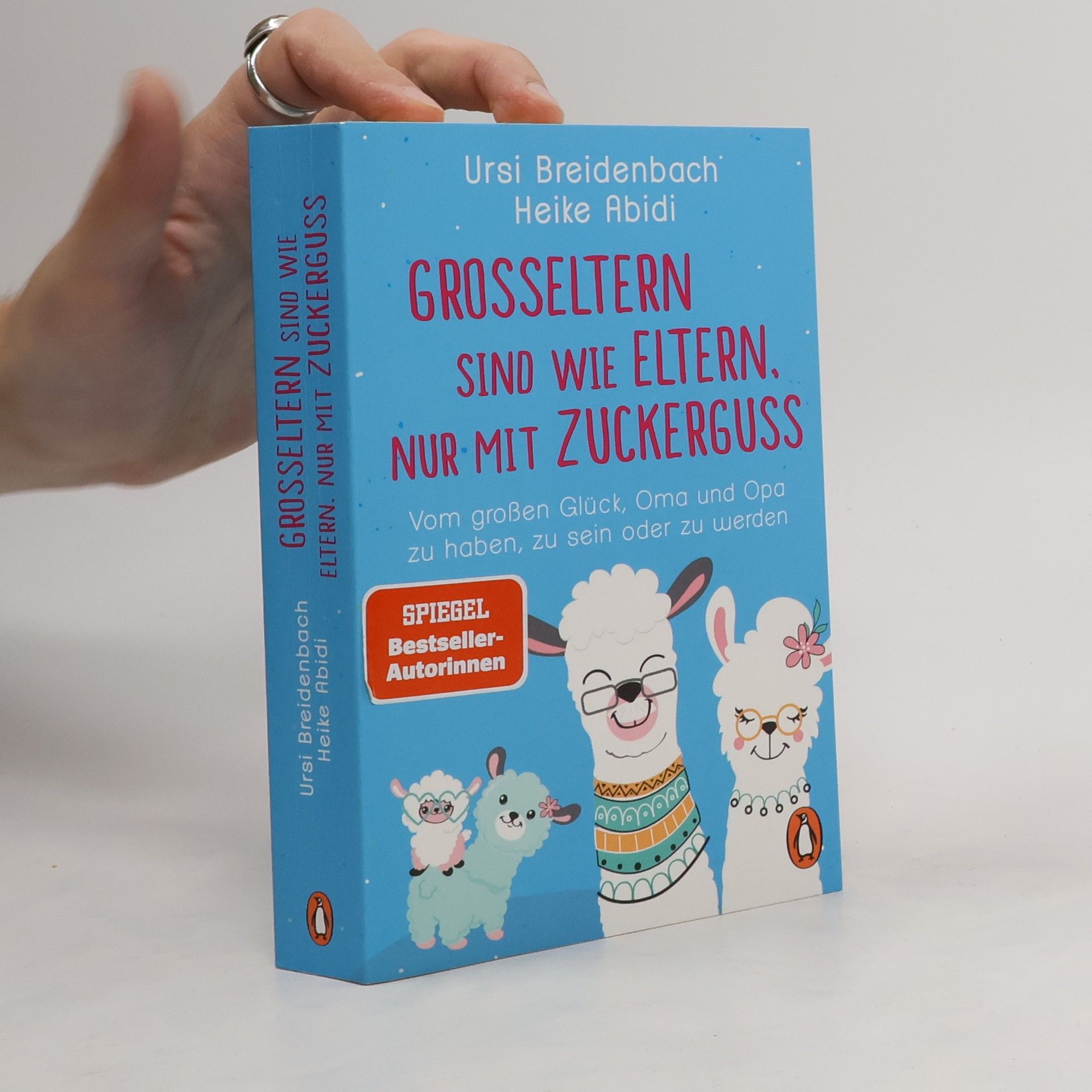 Heike Abidi Großeltern sind wie Eltern, nur mit Zuckerguss
