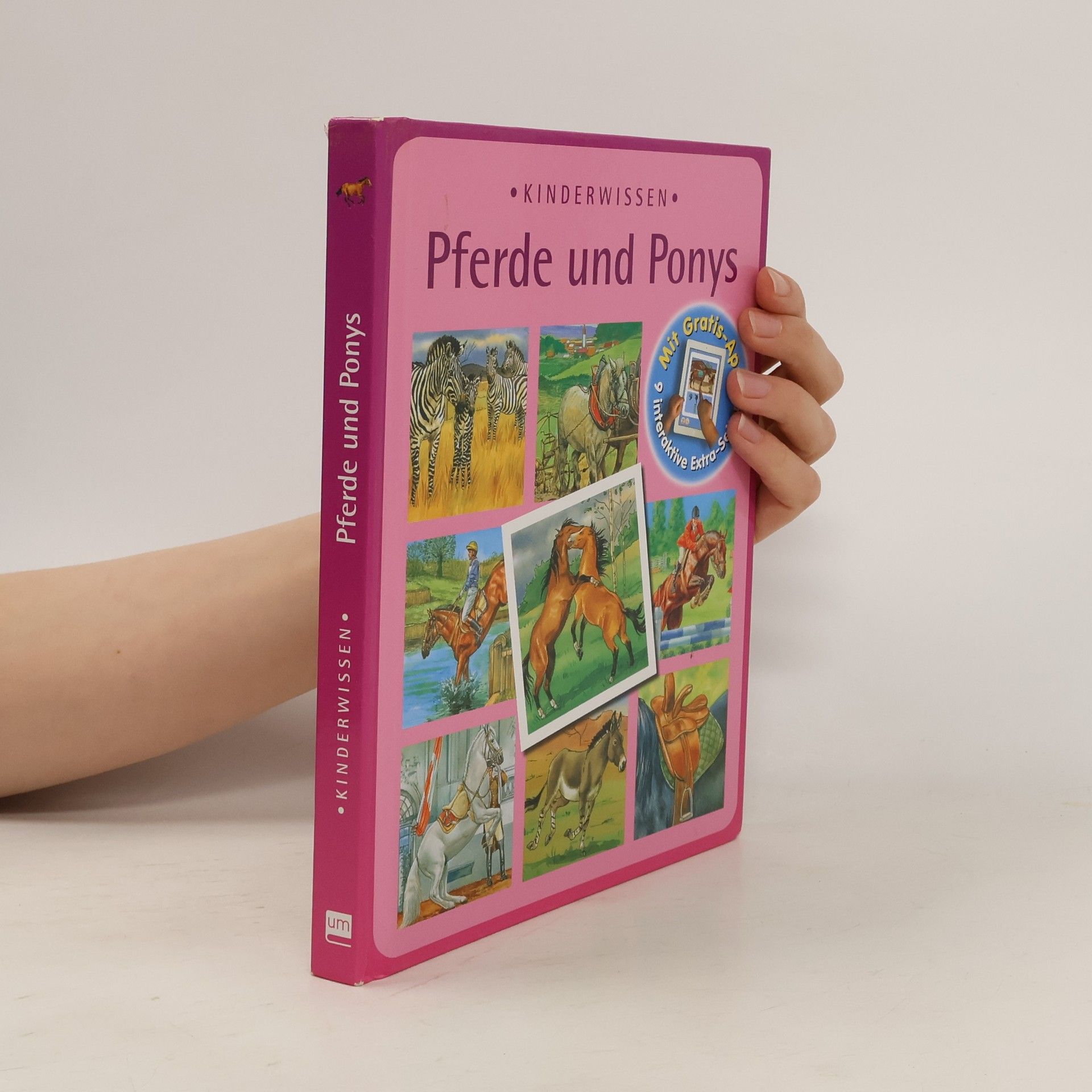 Autorenkollektiv Pferde und Ponys