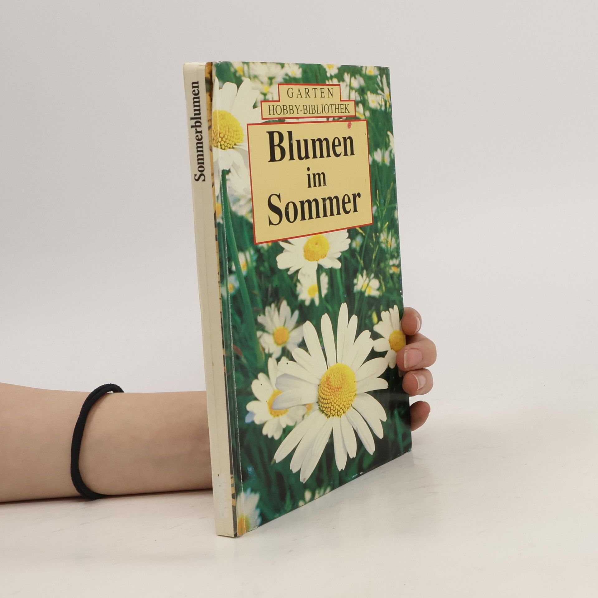 Ute York Blumen im Sommer