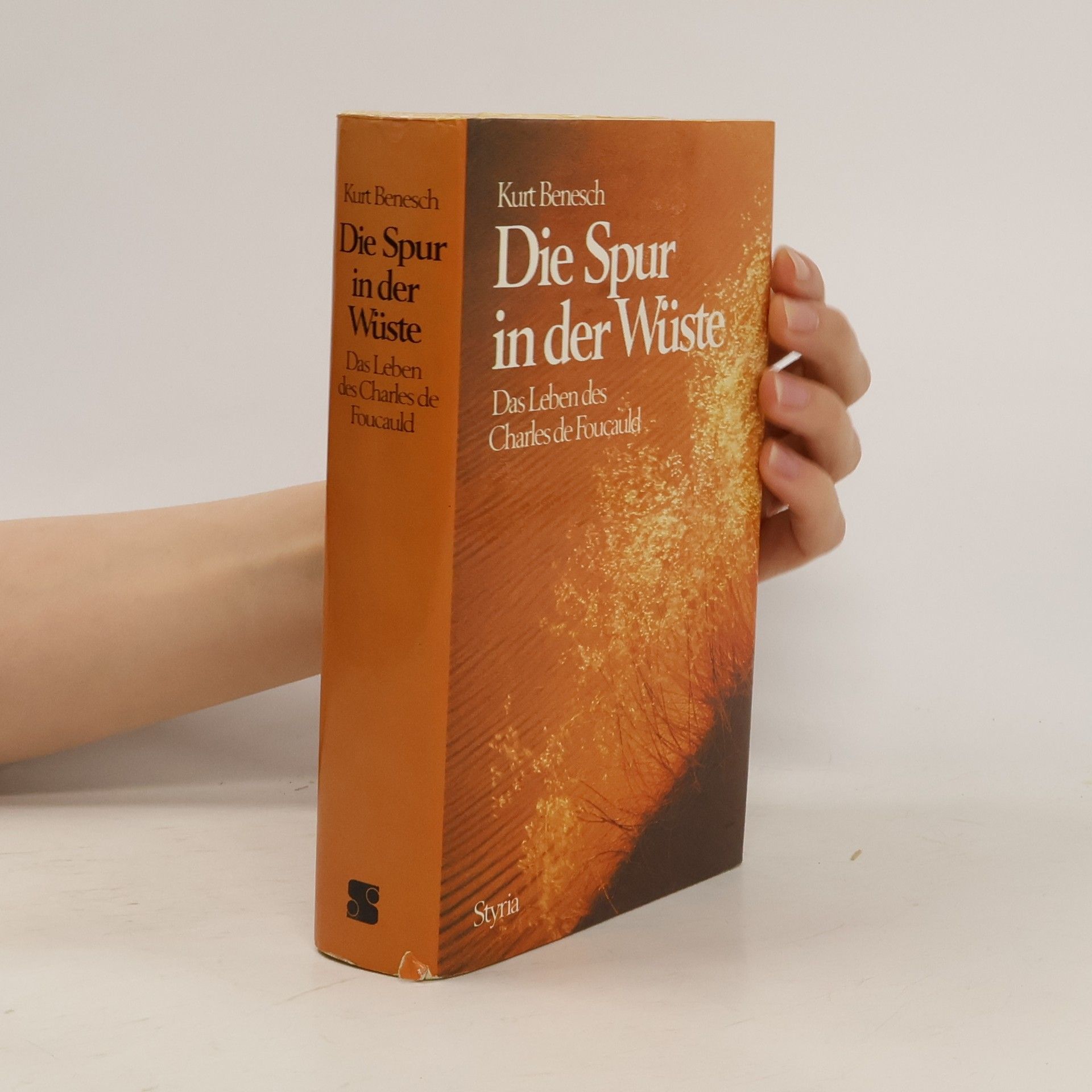 Kurt Benesch Die Spur in der Wüste