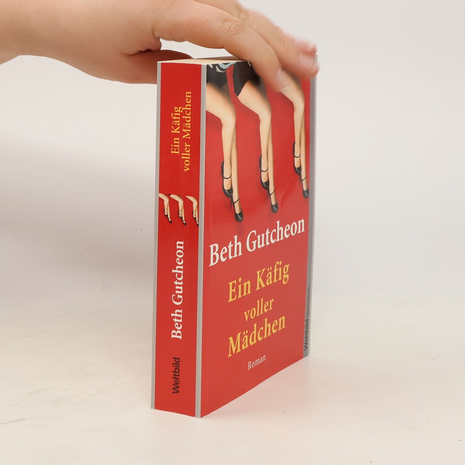 Beth Gutcheon Ein Käfig voller Mädchen
