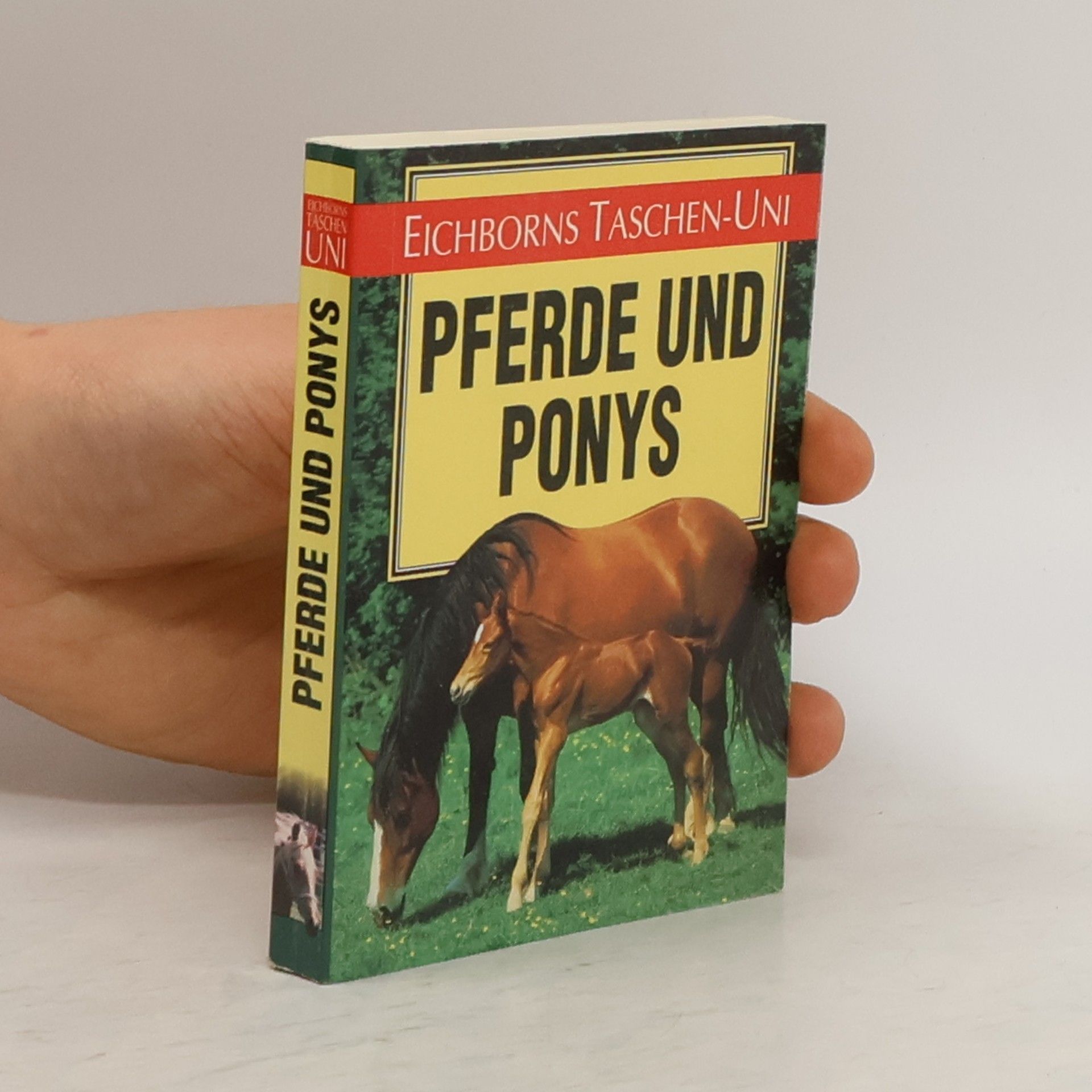 Caroline Silver Pferde und Ponys