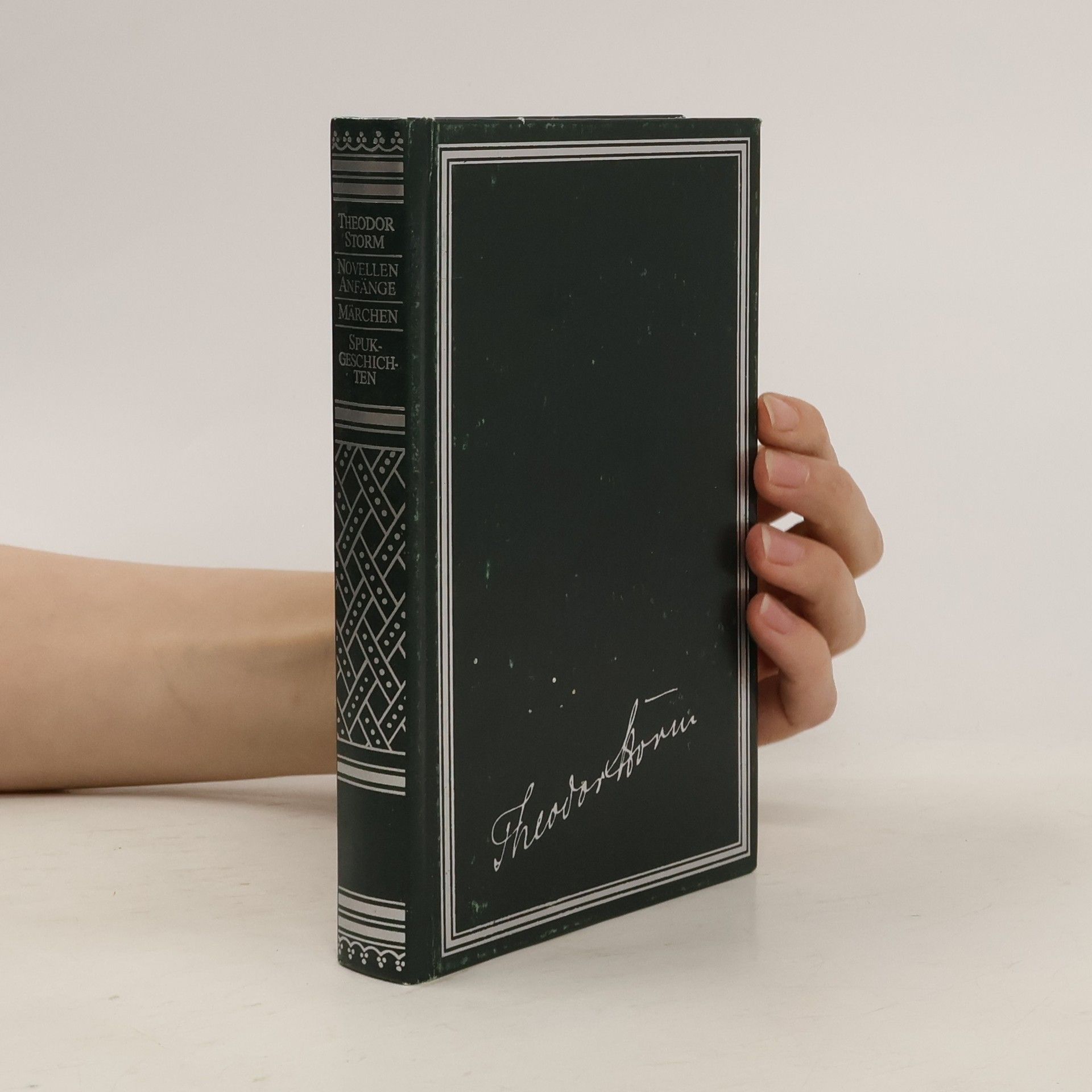 Theodor Storm Novellen Anfänge. Märchen. Spuk-Geschichten