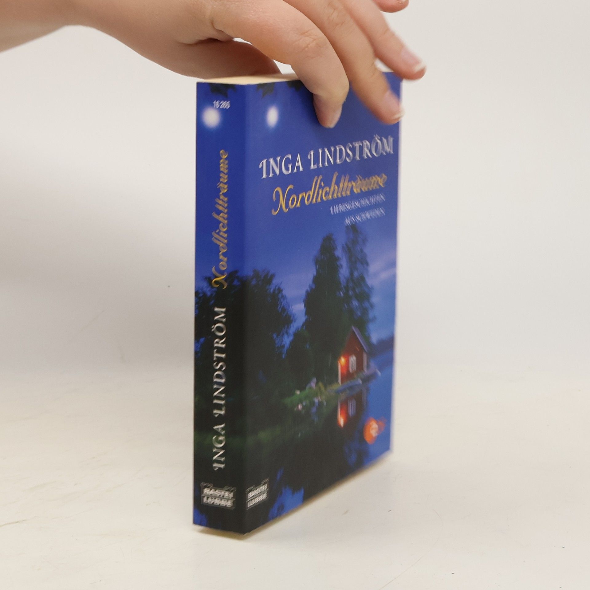 Inga Lindström Nordlichtträume