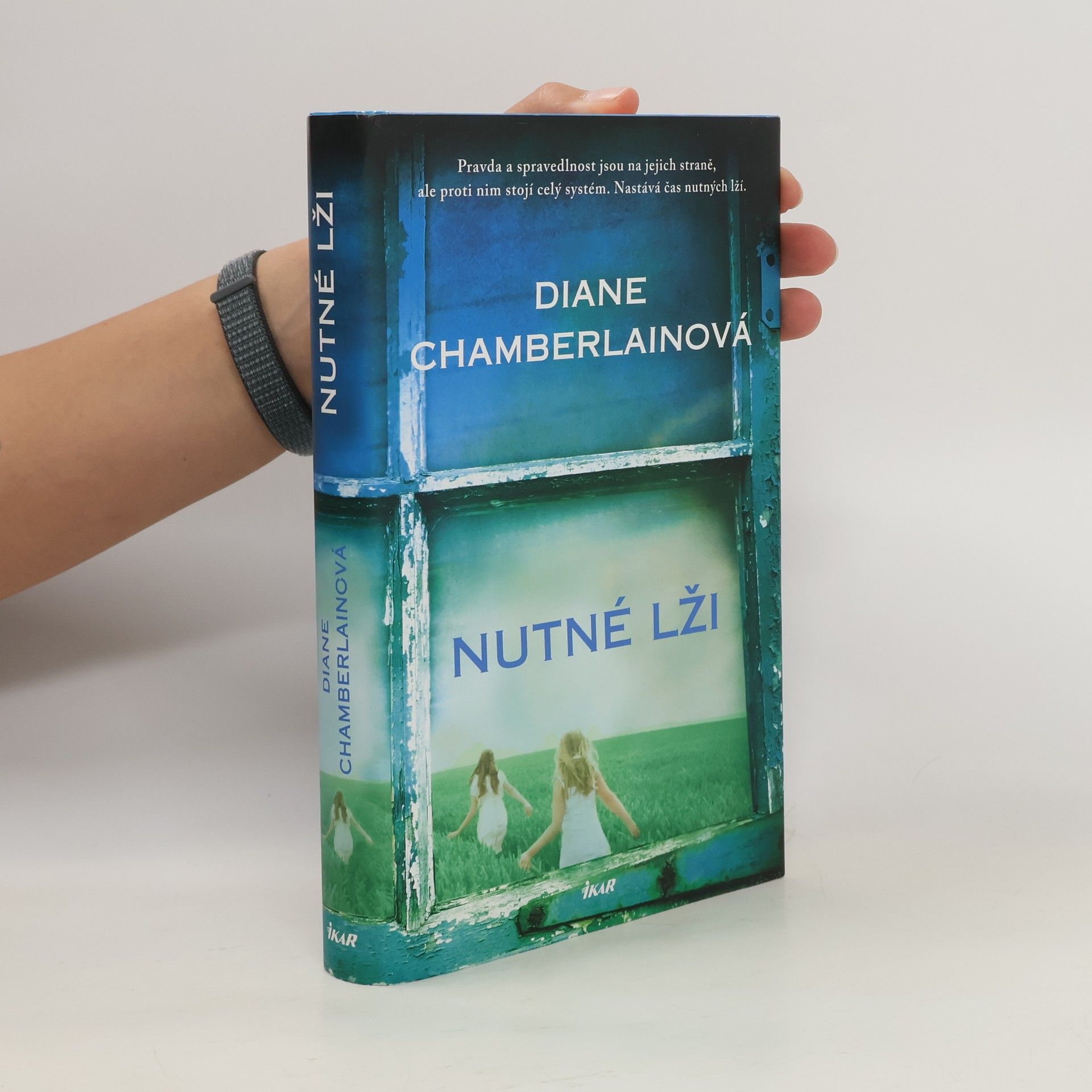 Diane Chamberlain Nutné lži