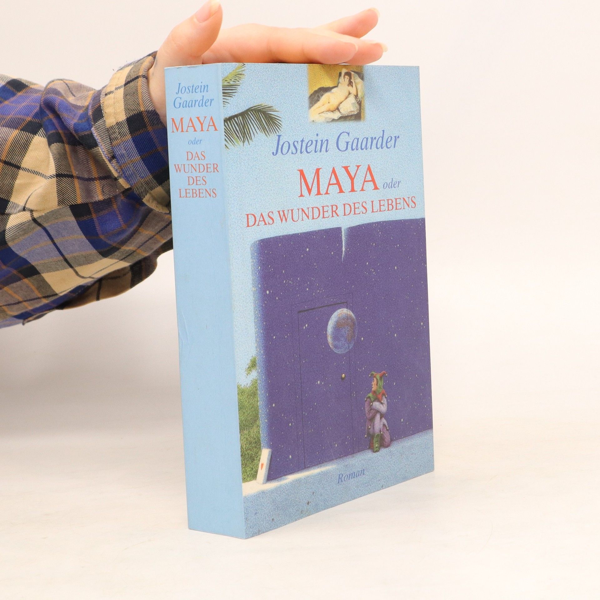 Jostein Gaarder Maya oder das Wunder des Lebens