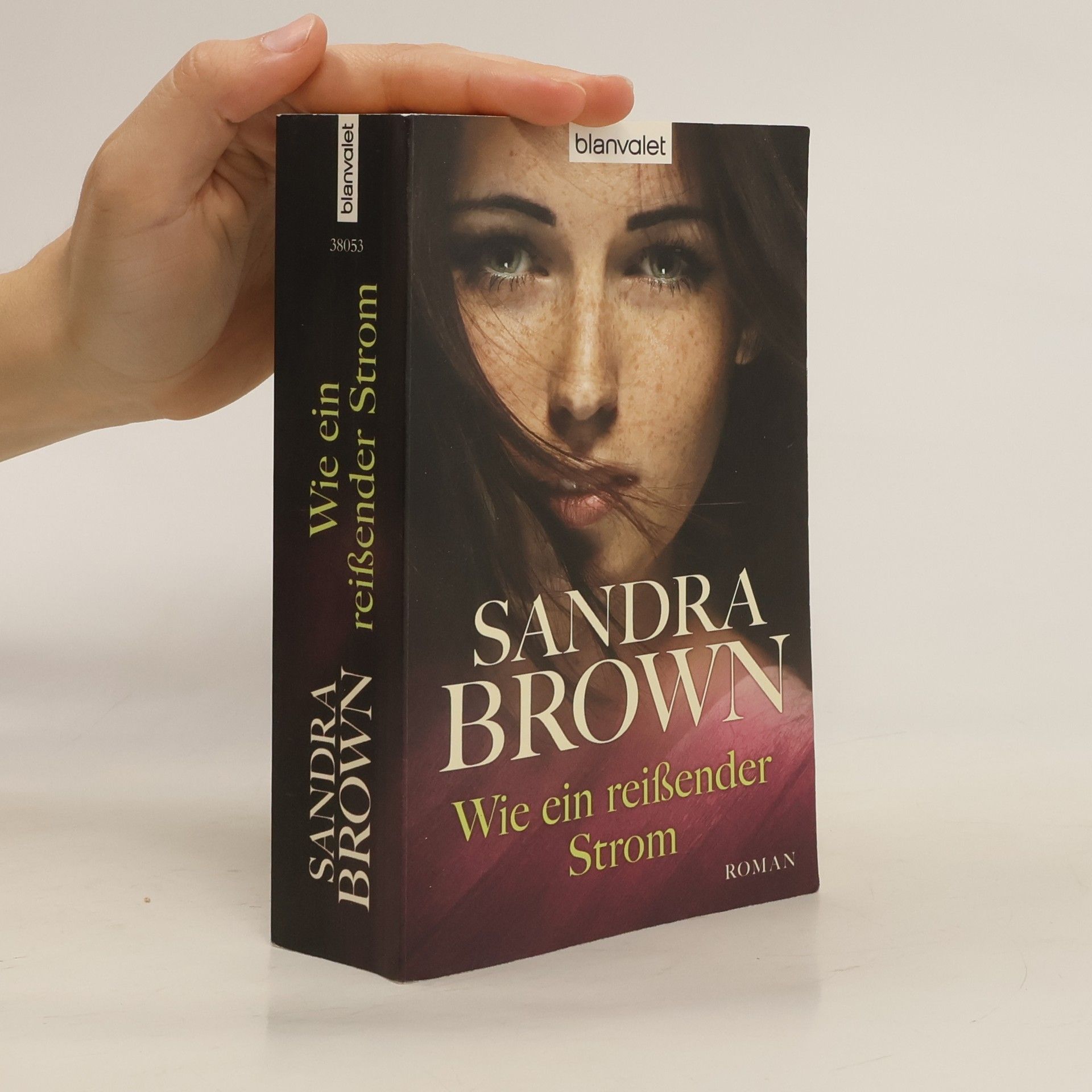 Sandra Brown Wie ein reißender Strom