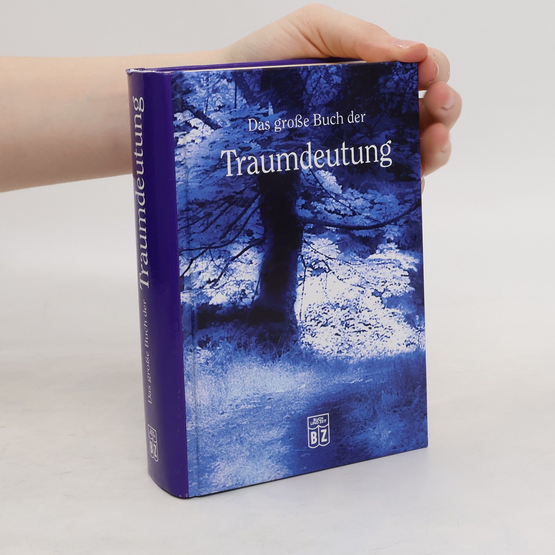 Andreas Baumgarten Das große Buch der Traumdeutung