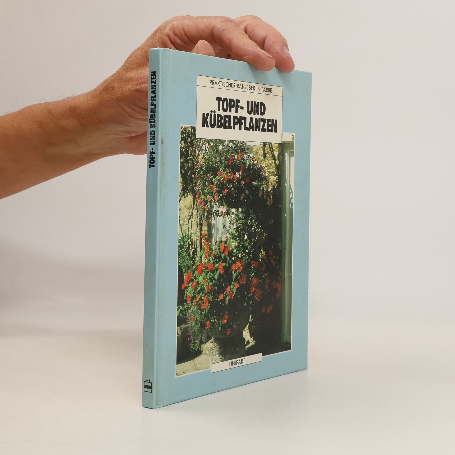 Ethne Clarke Topf- und Kübelpflanzen