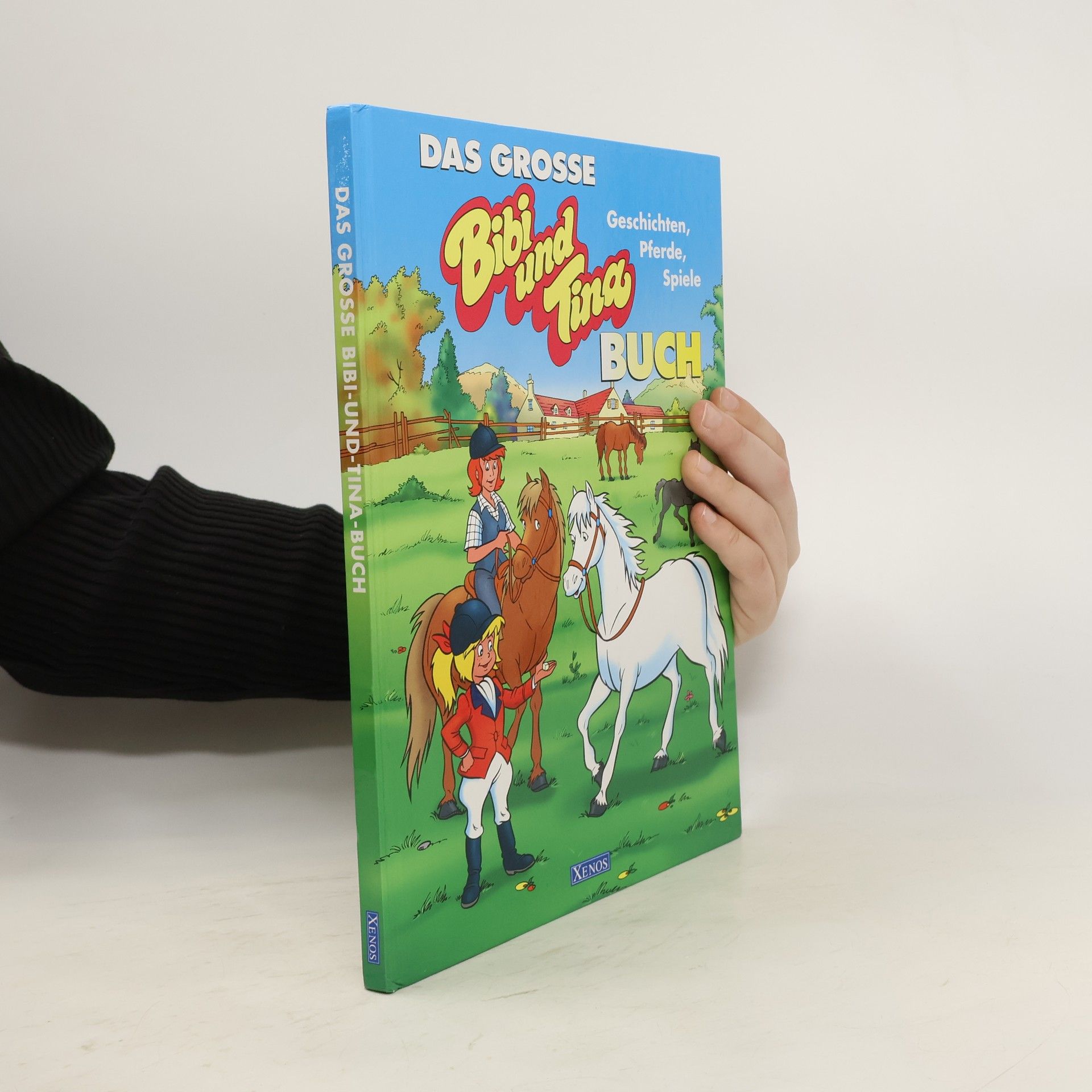 Collectif d'auteurs Das grosse Bibi und Tina Buch