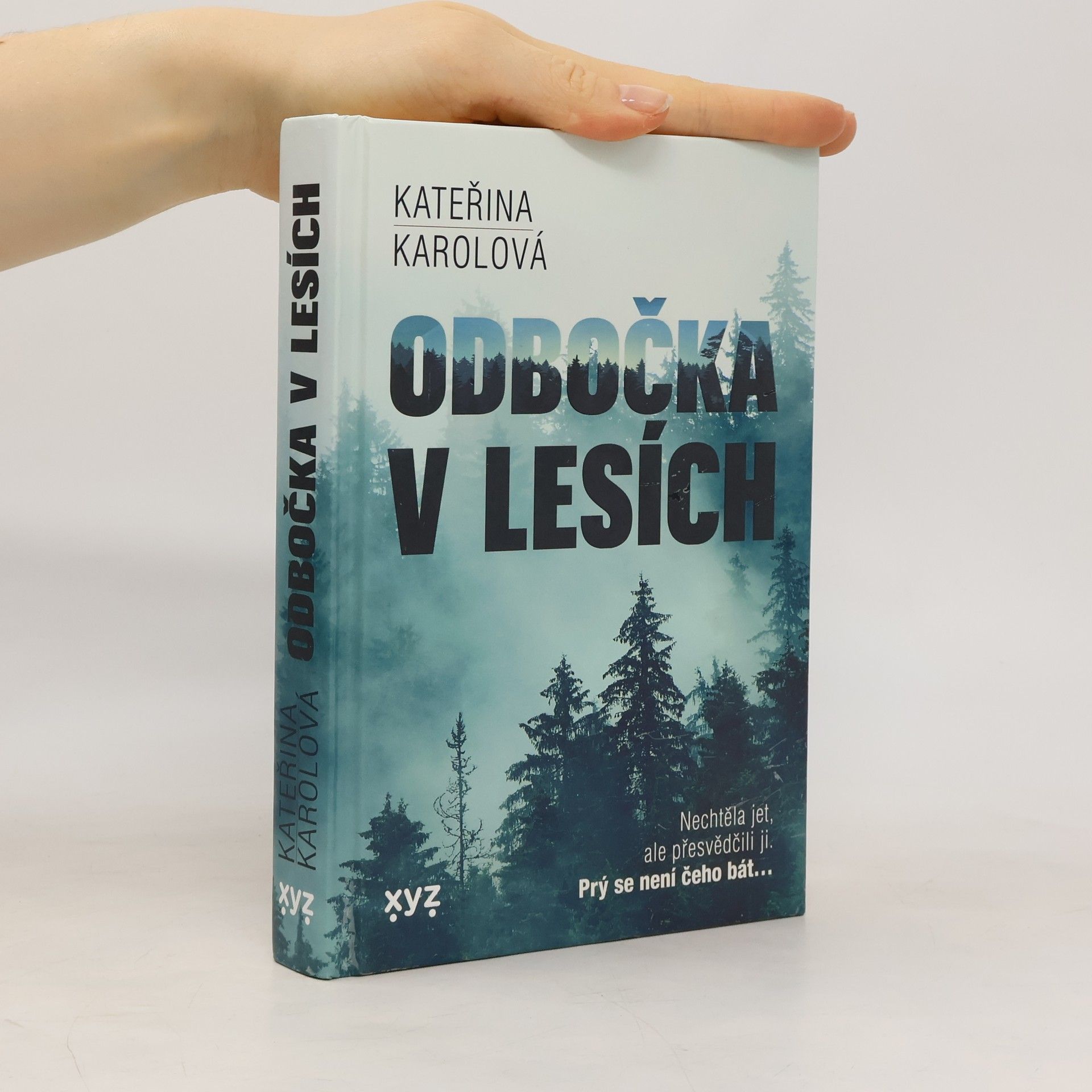 Kateřina Karolová Odbočka v lesích
