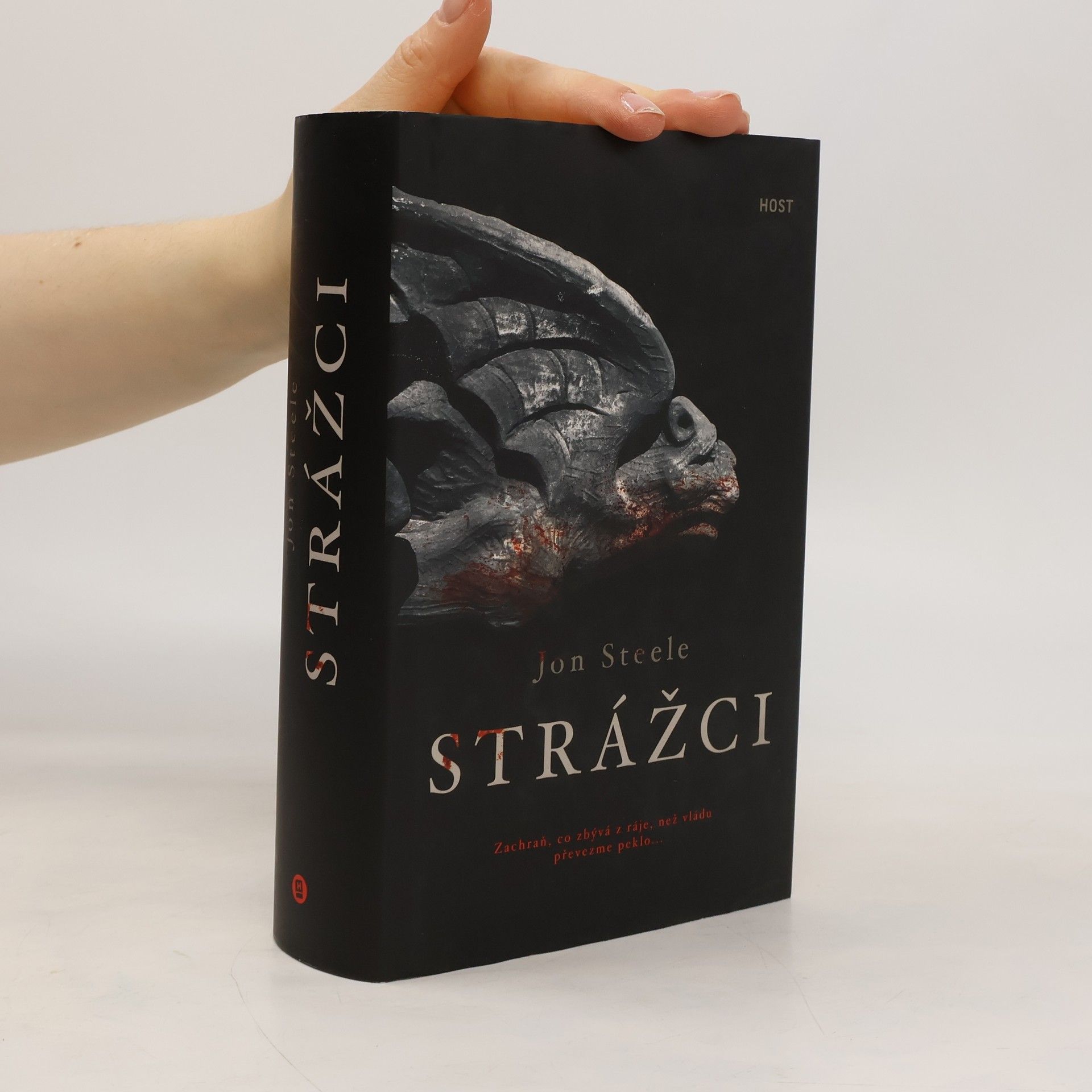Jon Steele Strážci