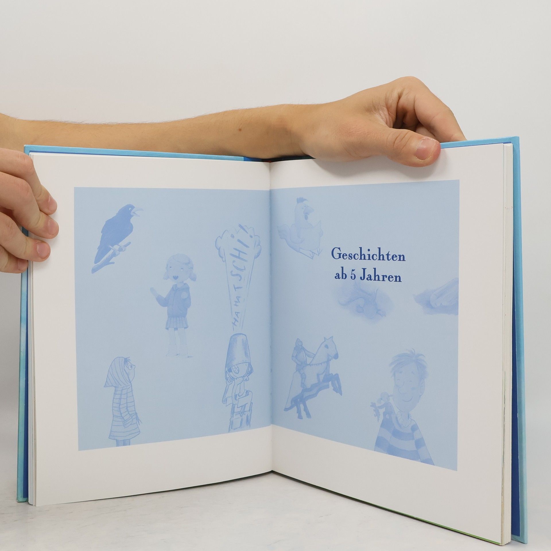 Autorenkollektiv Mein großes Vorlesebuch. Geschichten zum Vor- und Selberlesen