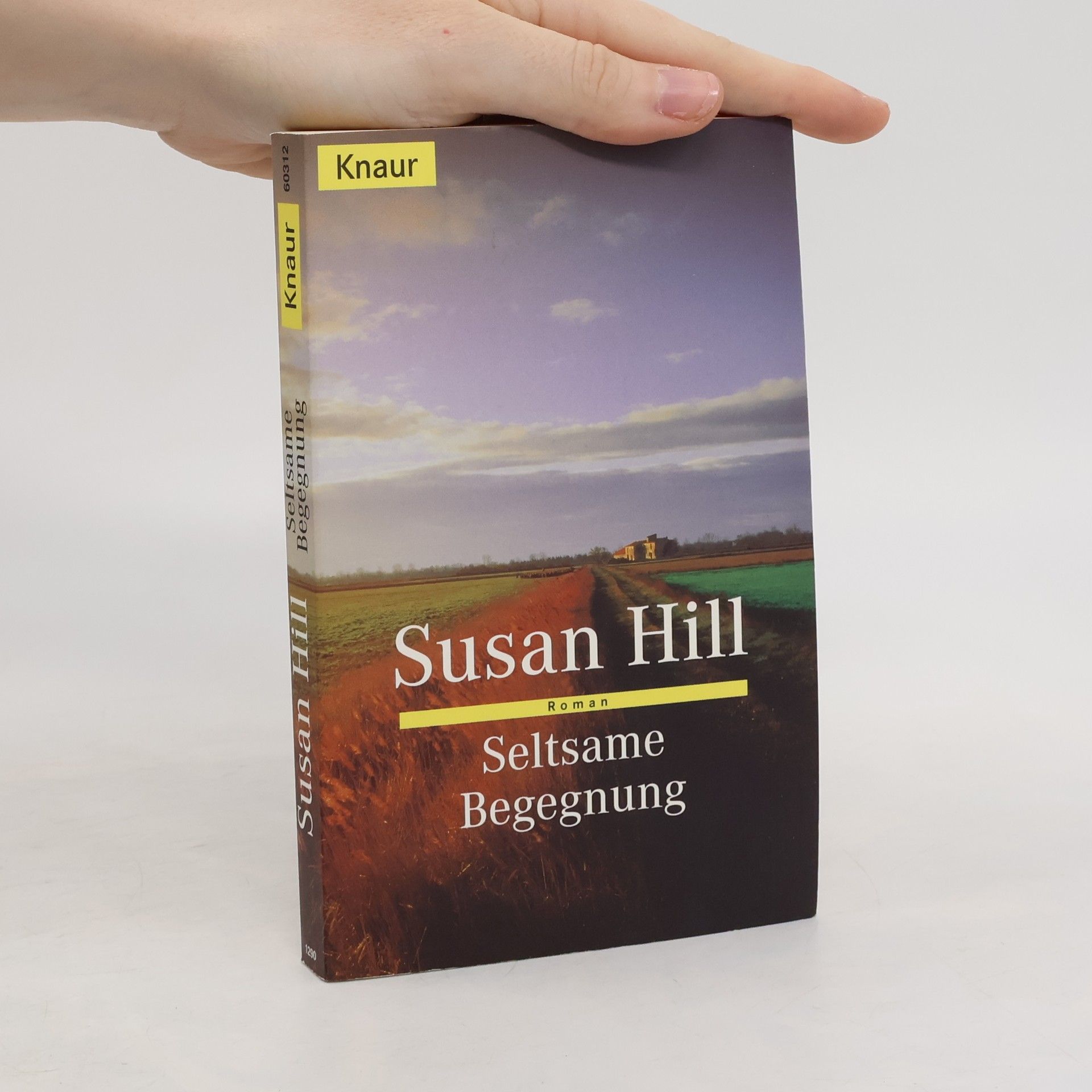 Susan Hill Seltsame Begegnung