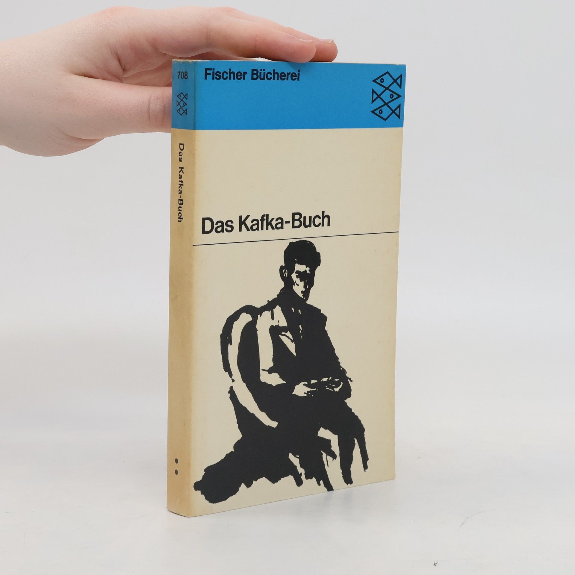 Franz Kafka Das Kafka-Buch