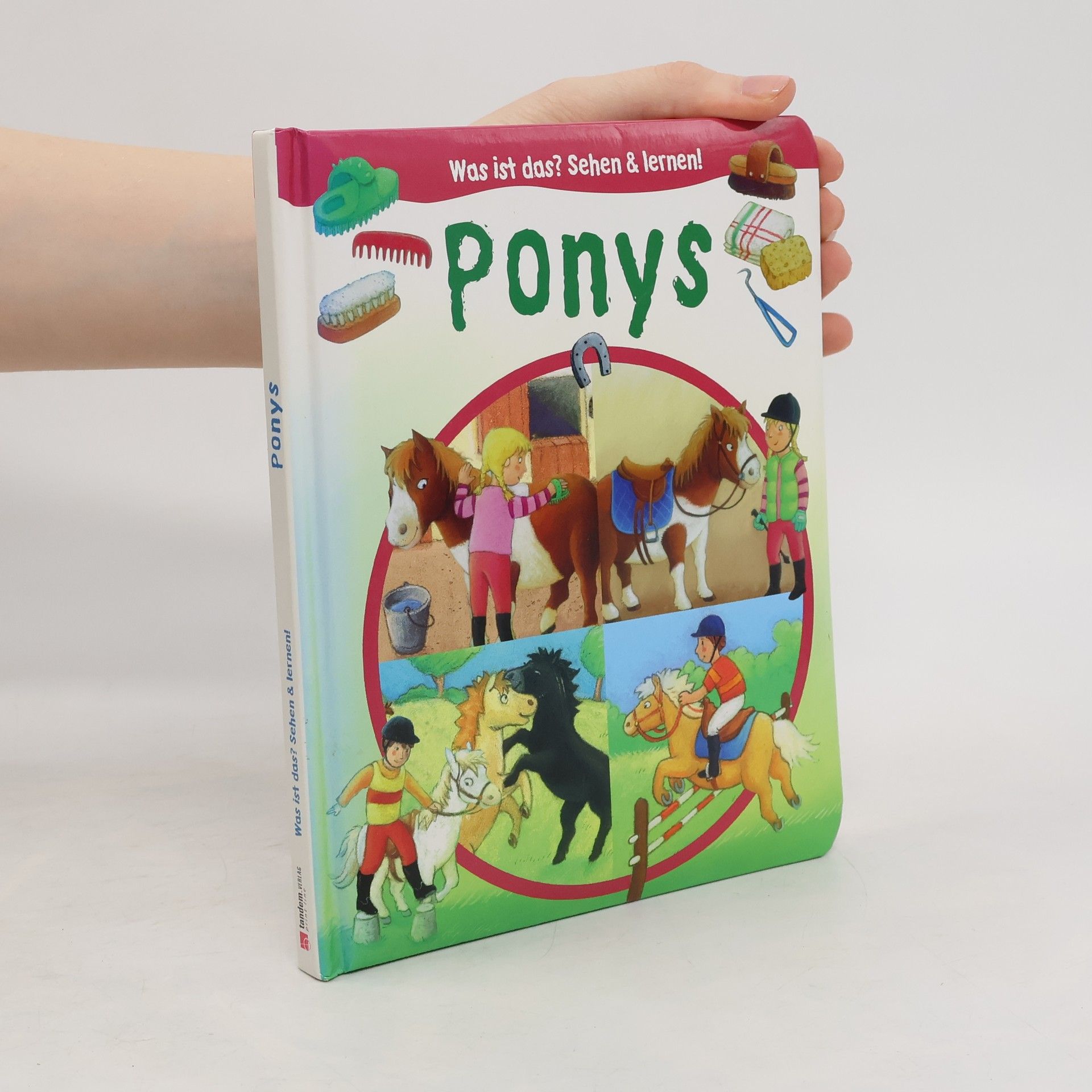 Autorenkollektiv Ponys