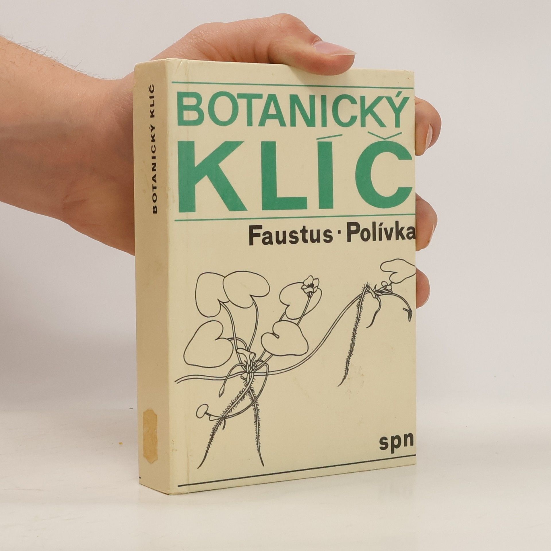 Luděk Faustus Botanický klíč