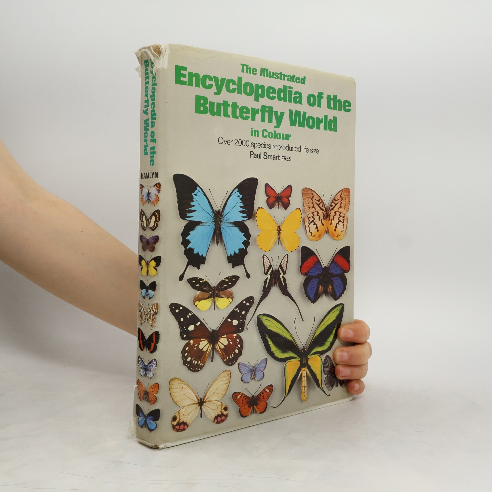 Paul Smart The Illustrated Encyclopedia of the Butterfly World