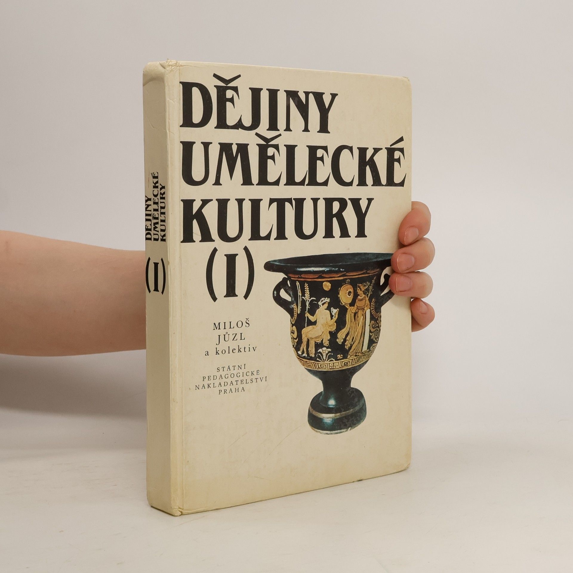 Miloš Jůzl Dějiny umělecké kultury. 1. díl