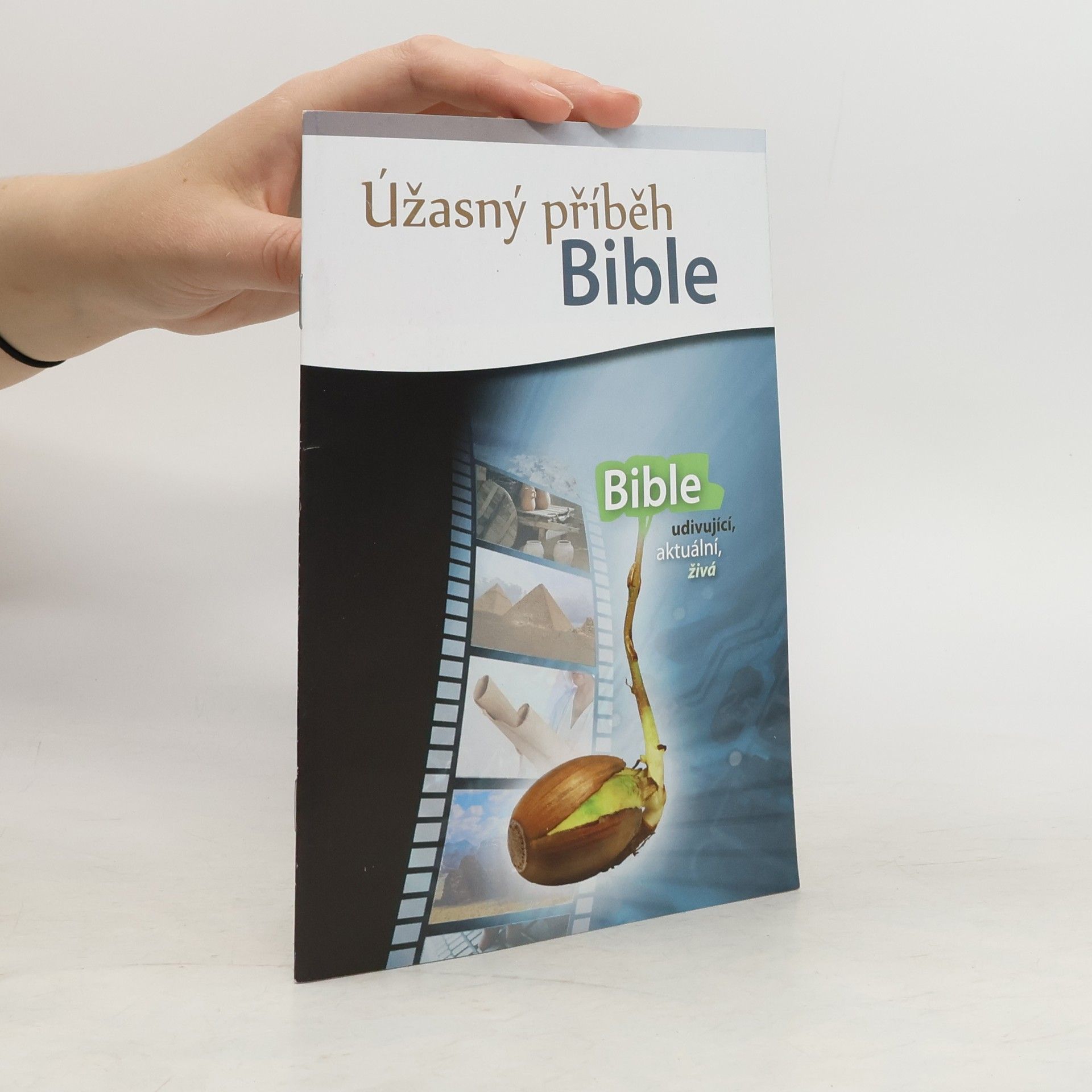 AA.VV. Úžasný příběh Bible