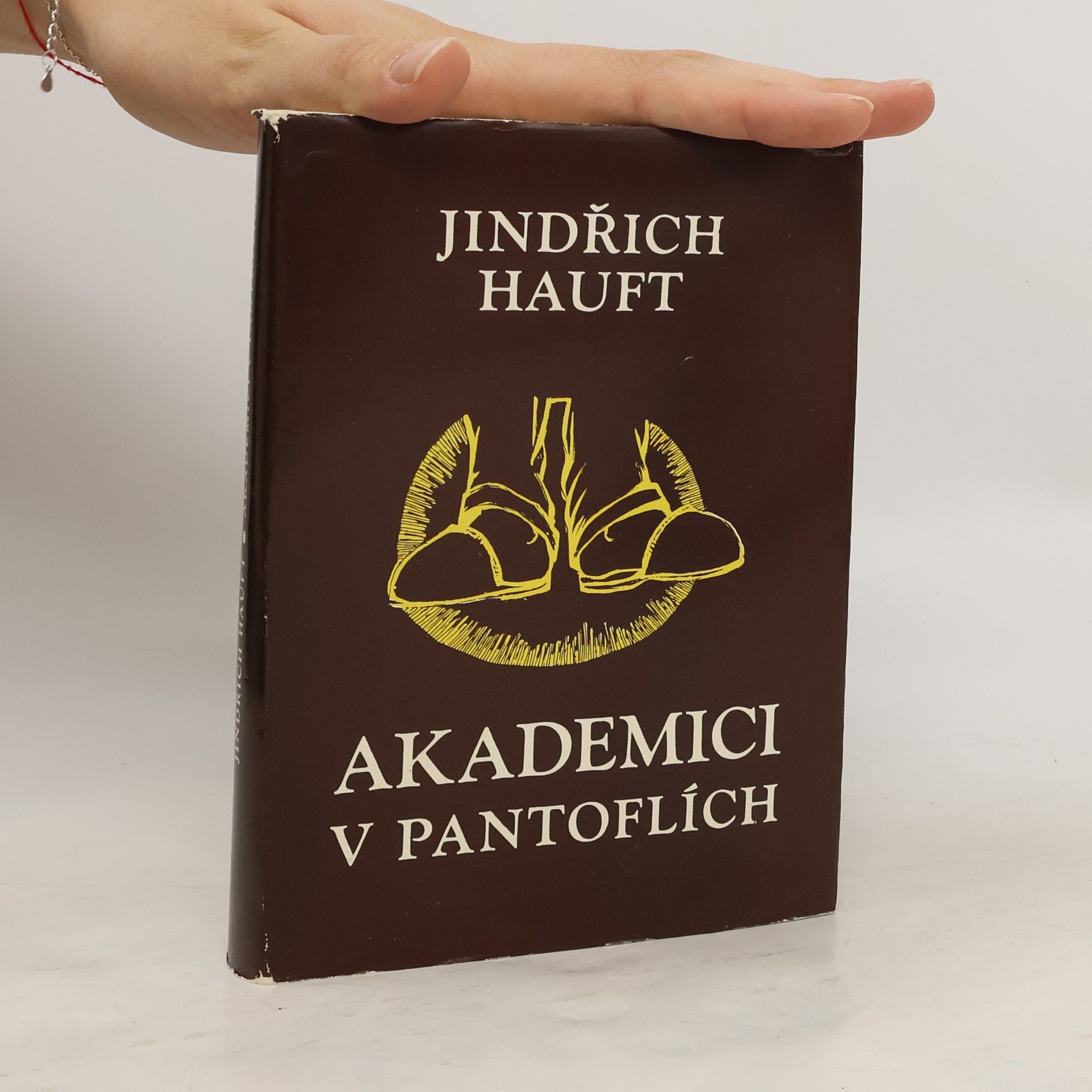 Jindřich Hauft Akademici v pantoflích