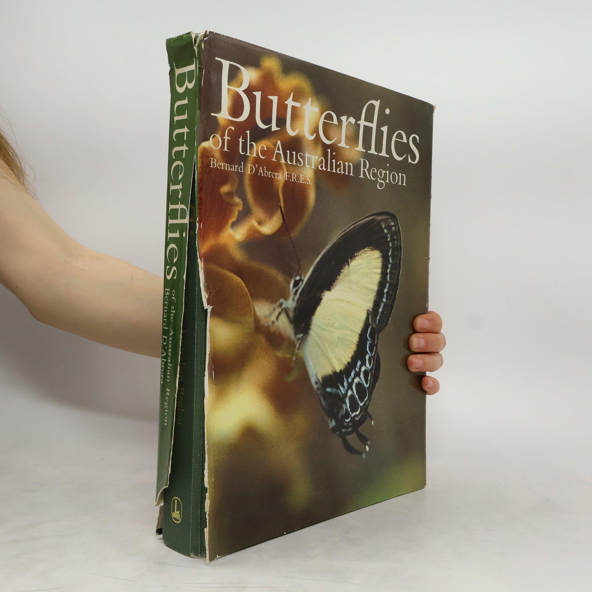 Bernard d'Abrera Butterflies of the Australian Region