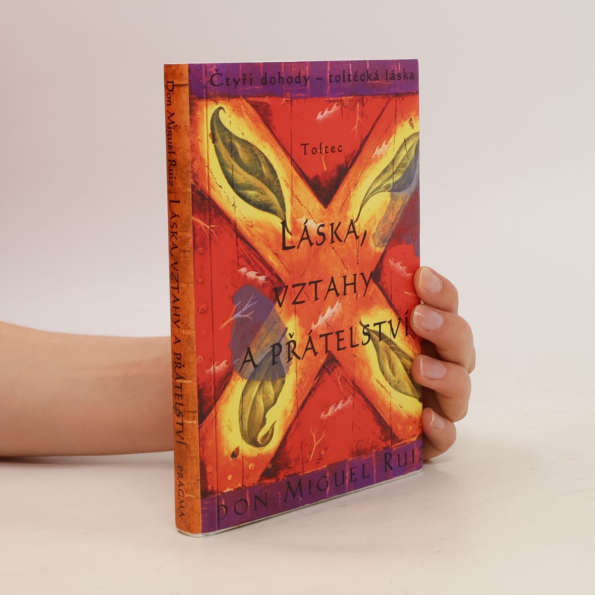 Don Miguel Ruiz Láska, vztahy a přátelství