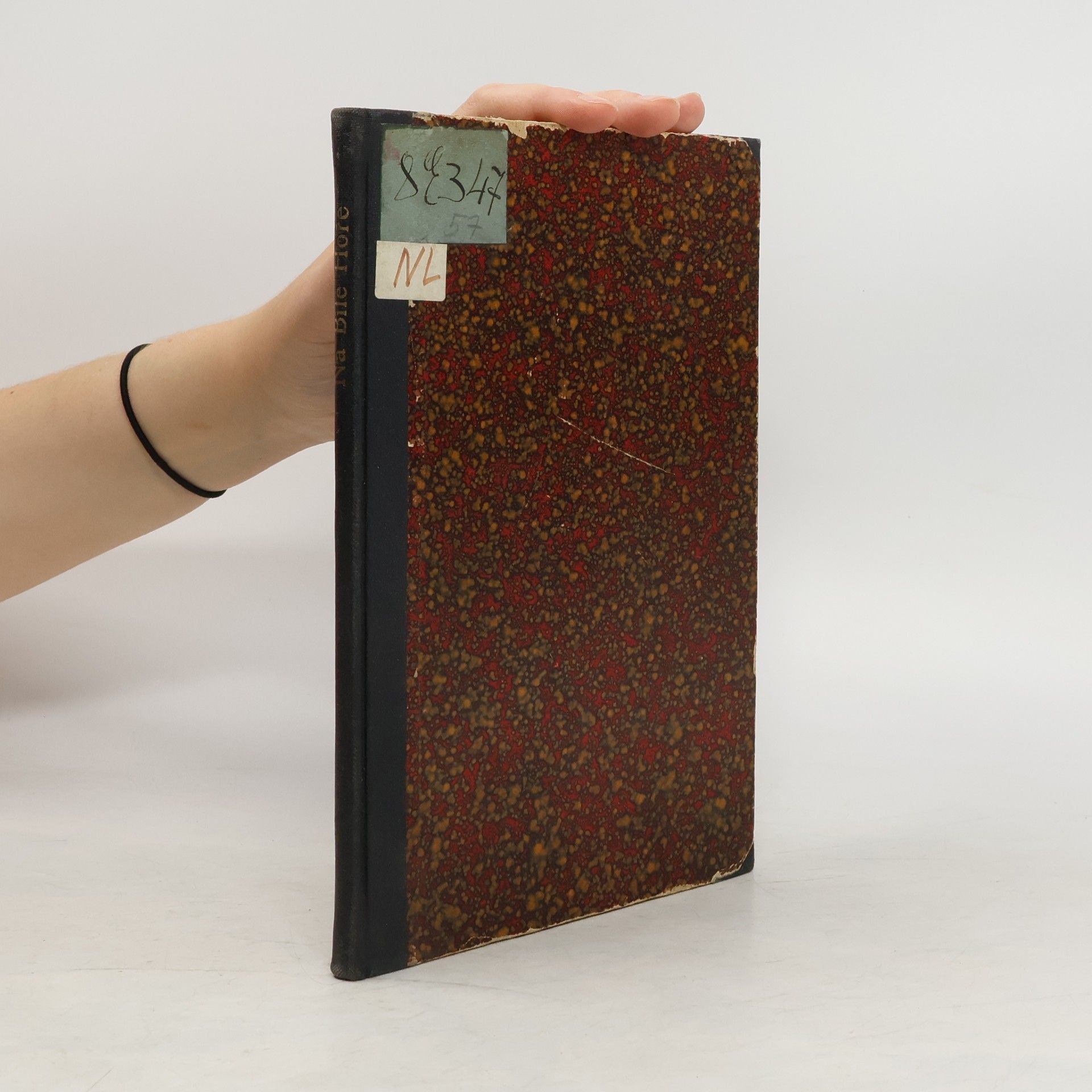 Autorenkollektiv Na Bílé hoře