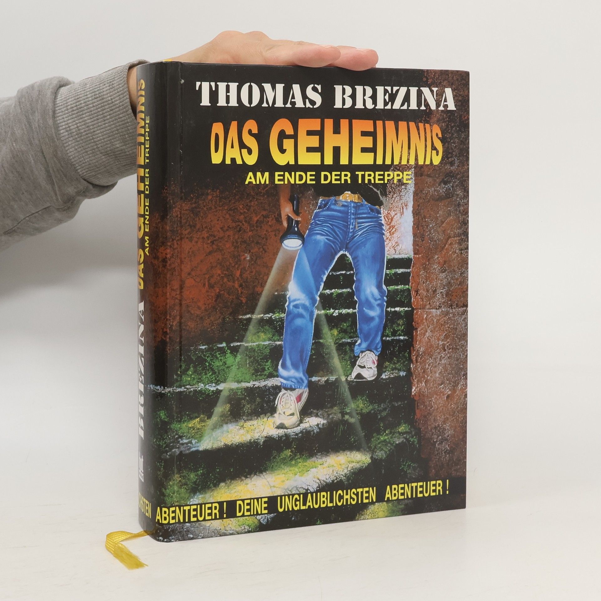 Thomas Brezina Das Geheimnis am Ende der Treppe