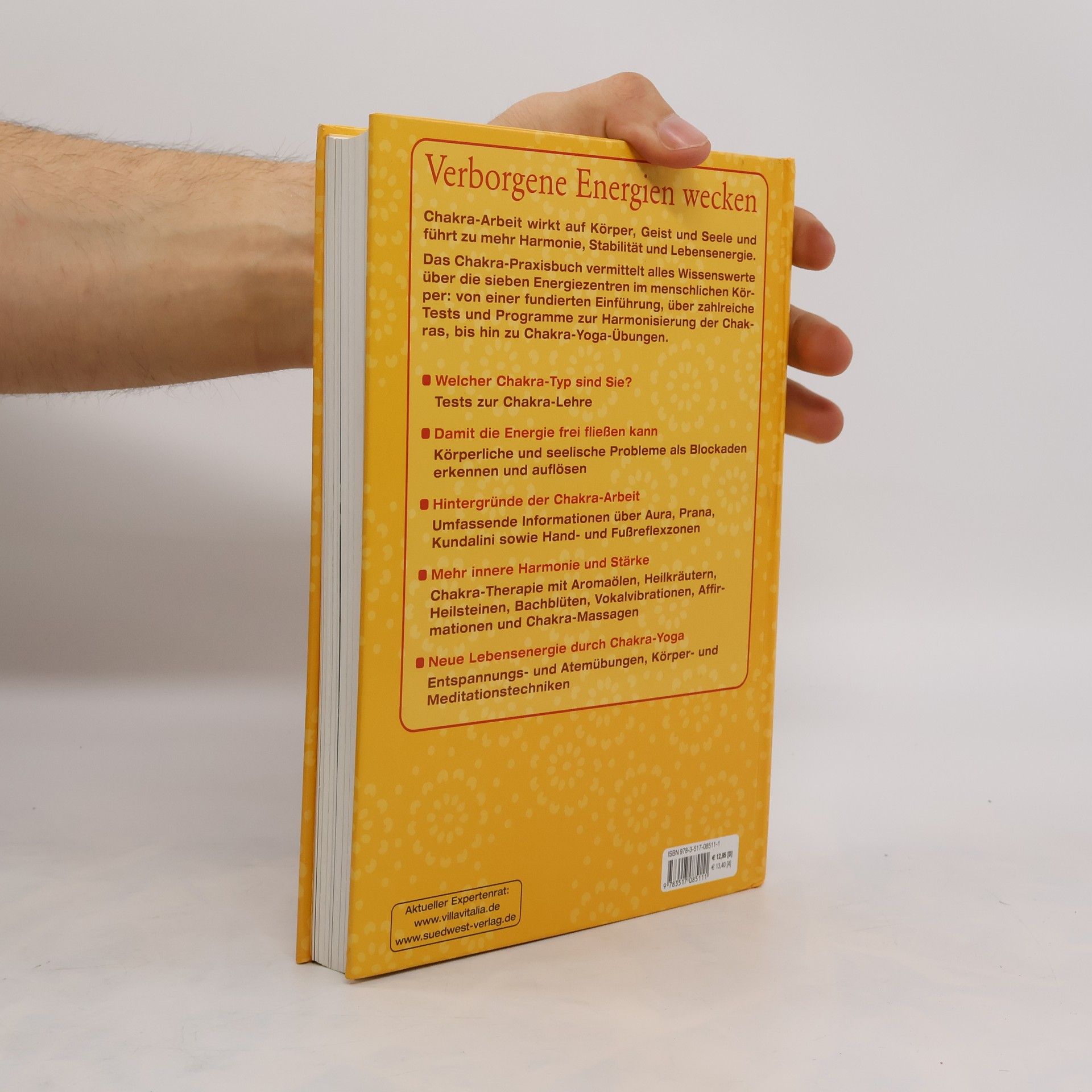 Kalashatra Govinda Chakra-Praxisbuch