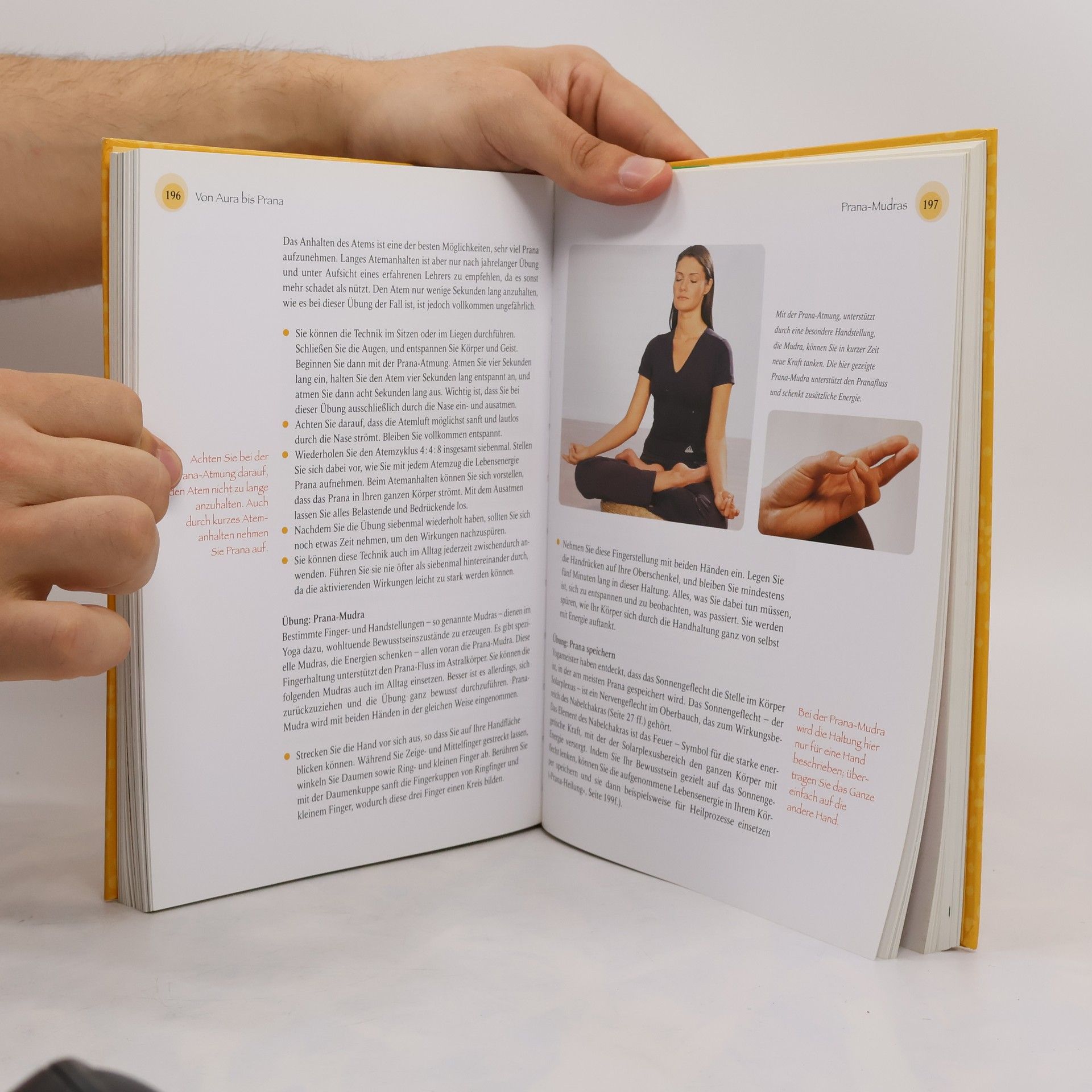 Kalashatra Govinda Chakra-Praxisbuch