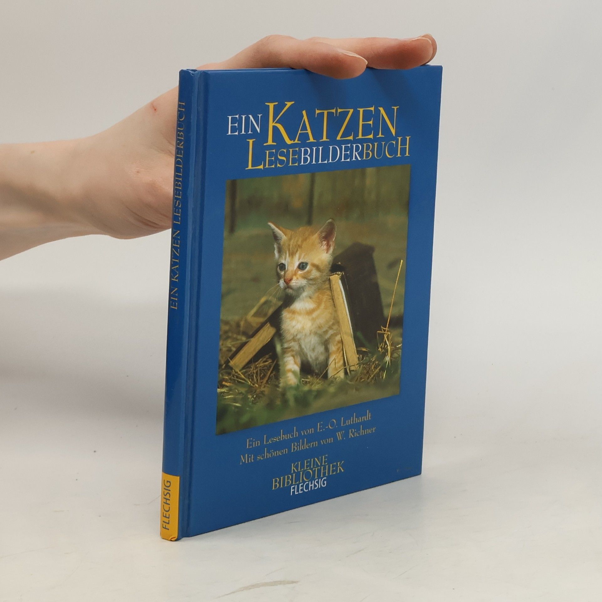 Collective Ein Katzen-Lesebilderbuch