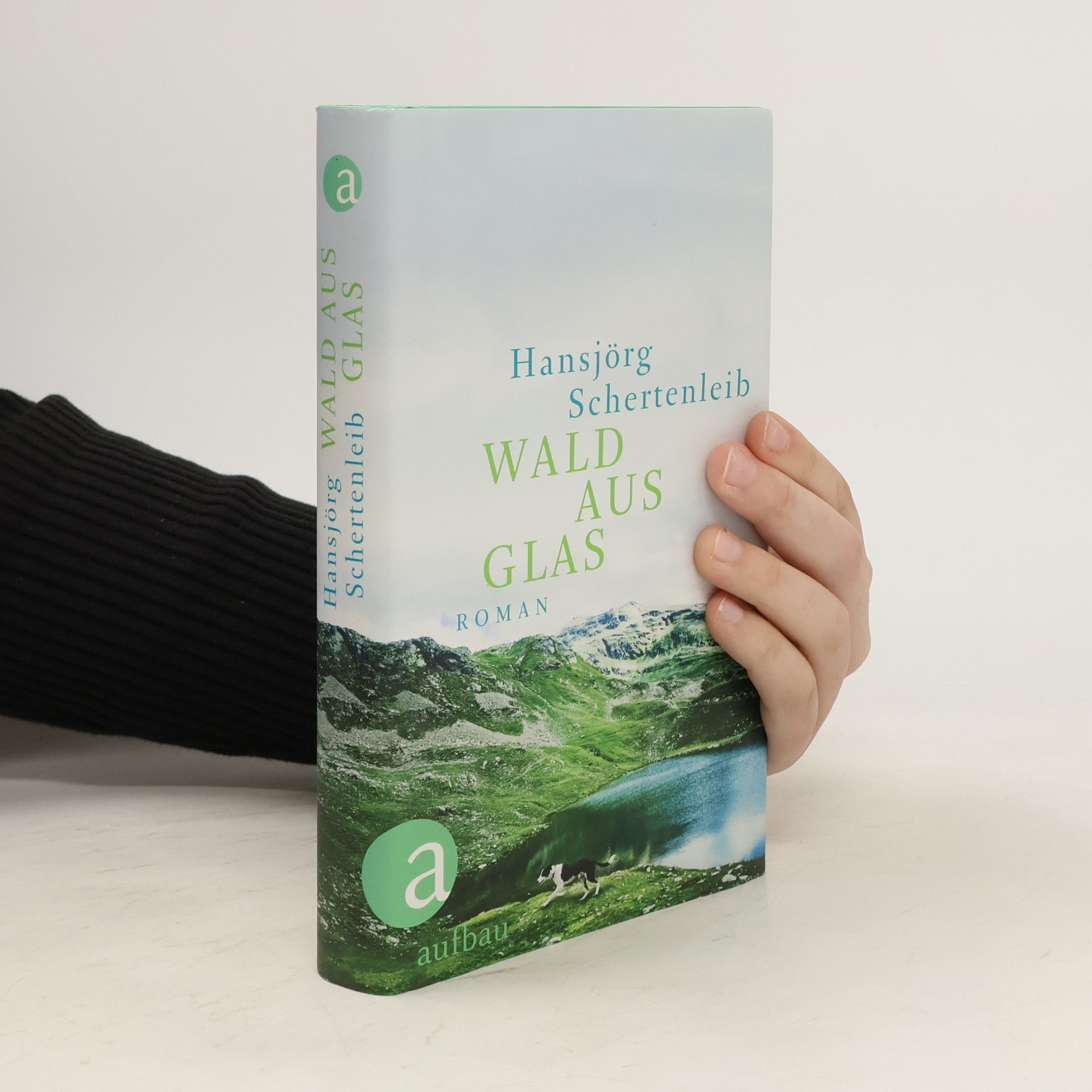 Hansjörg Schertenleib Wald aus Glas