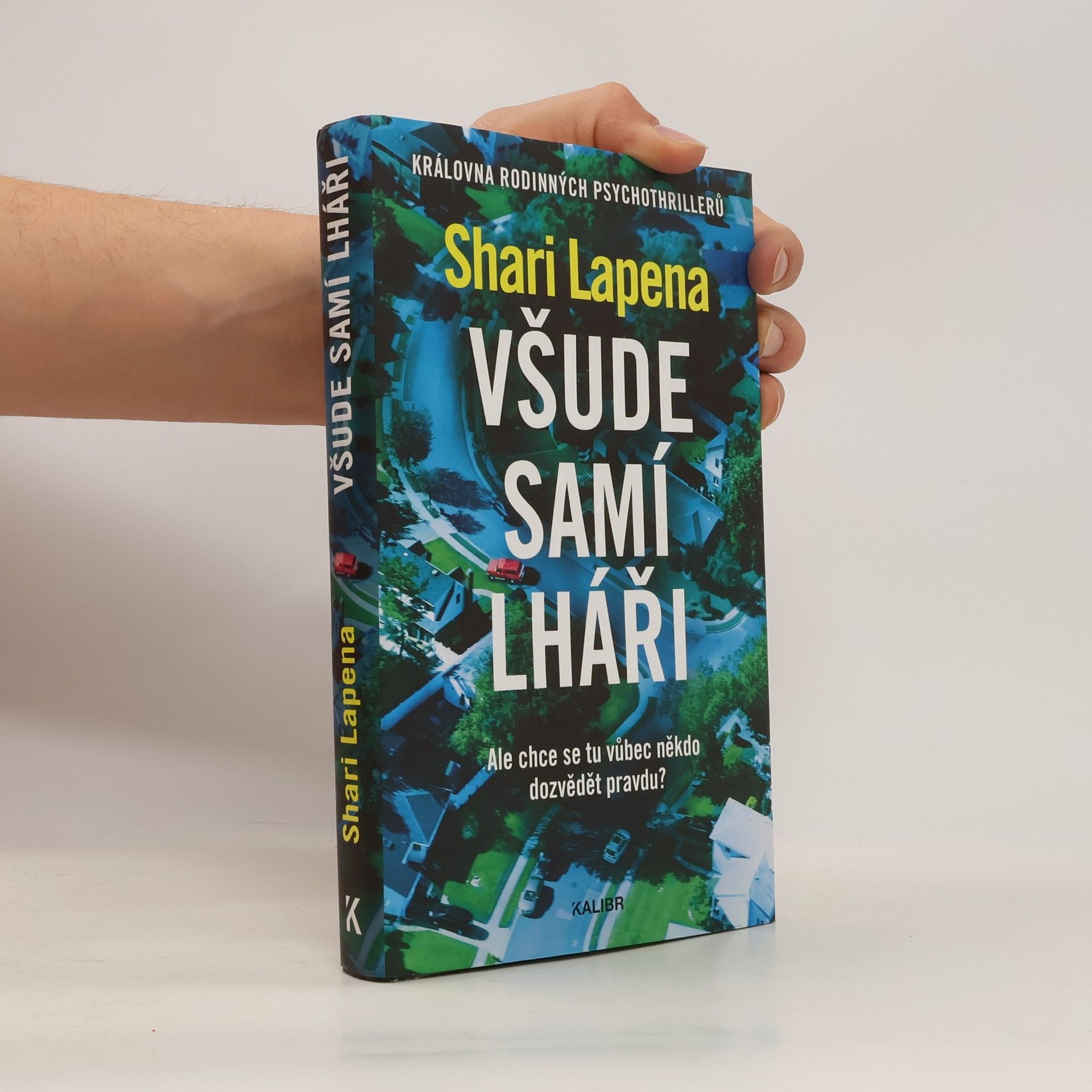 Shari Lapena Všude samí lháři