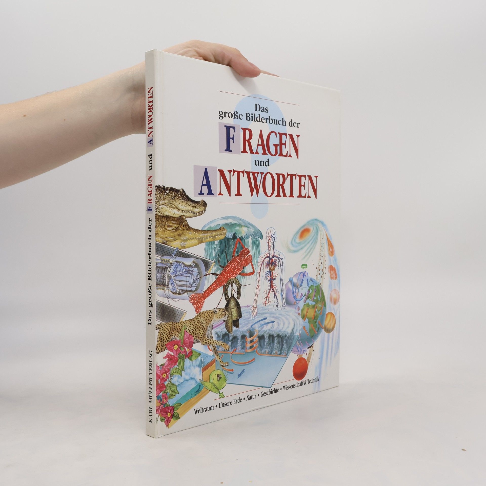 Autorenkollektiv Das grosse Bilderbuch der Fragen und Antworten