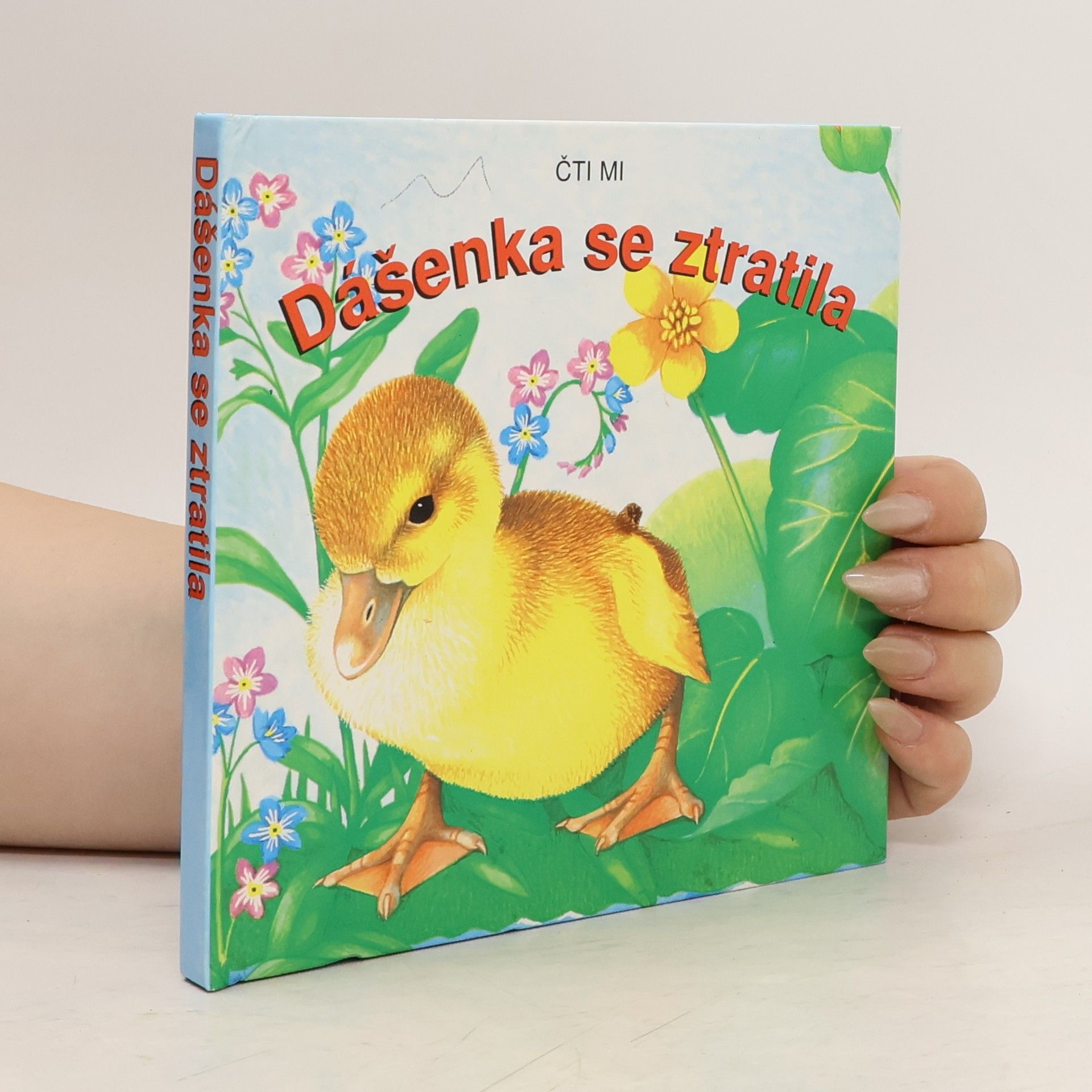 Sue Camm Dášenka se ztratila