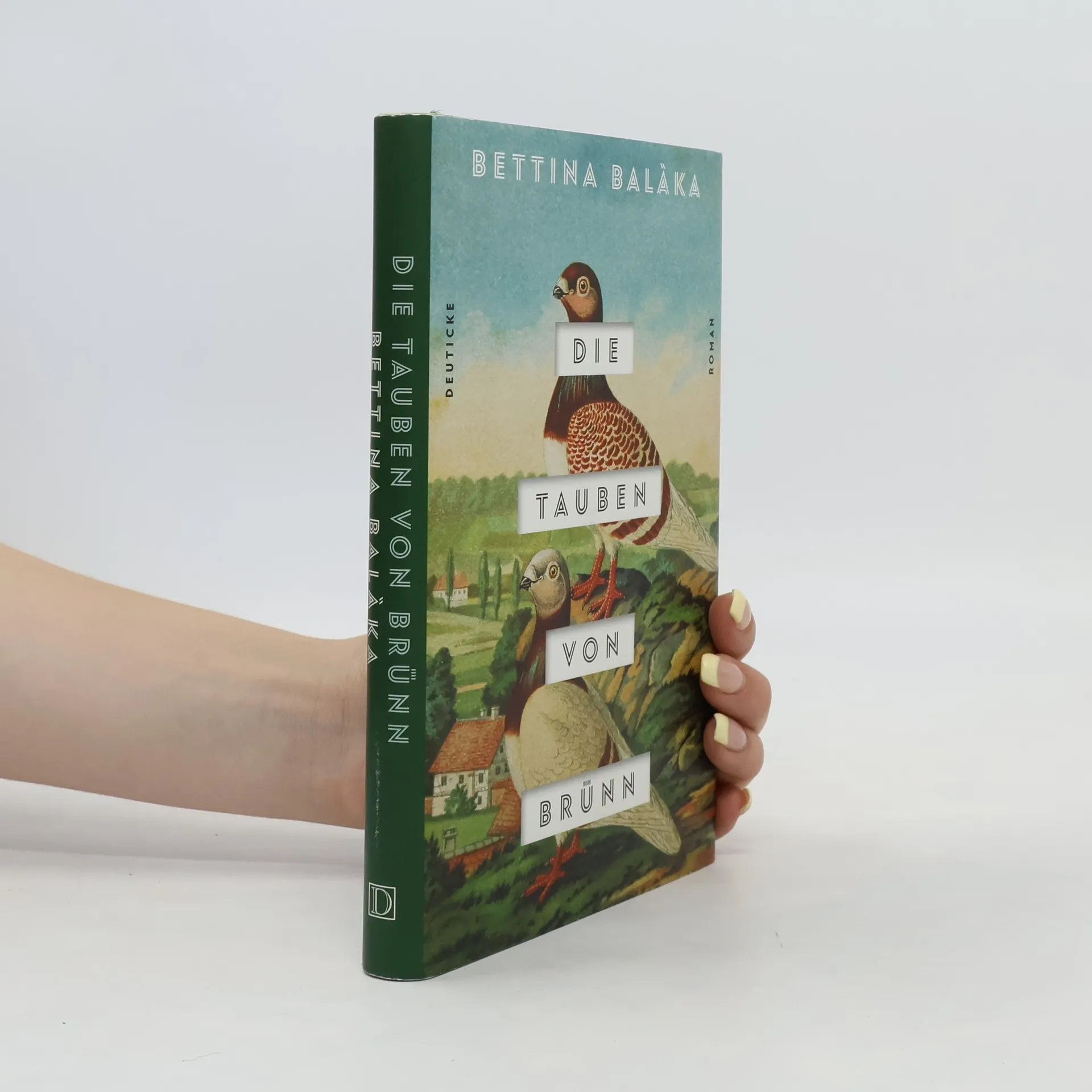 Die Tauben von Brünn | Buch | Bettina Balàka
