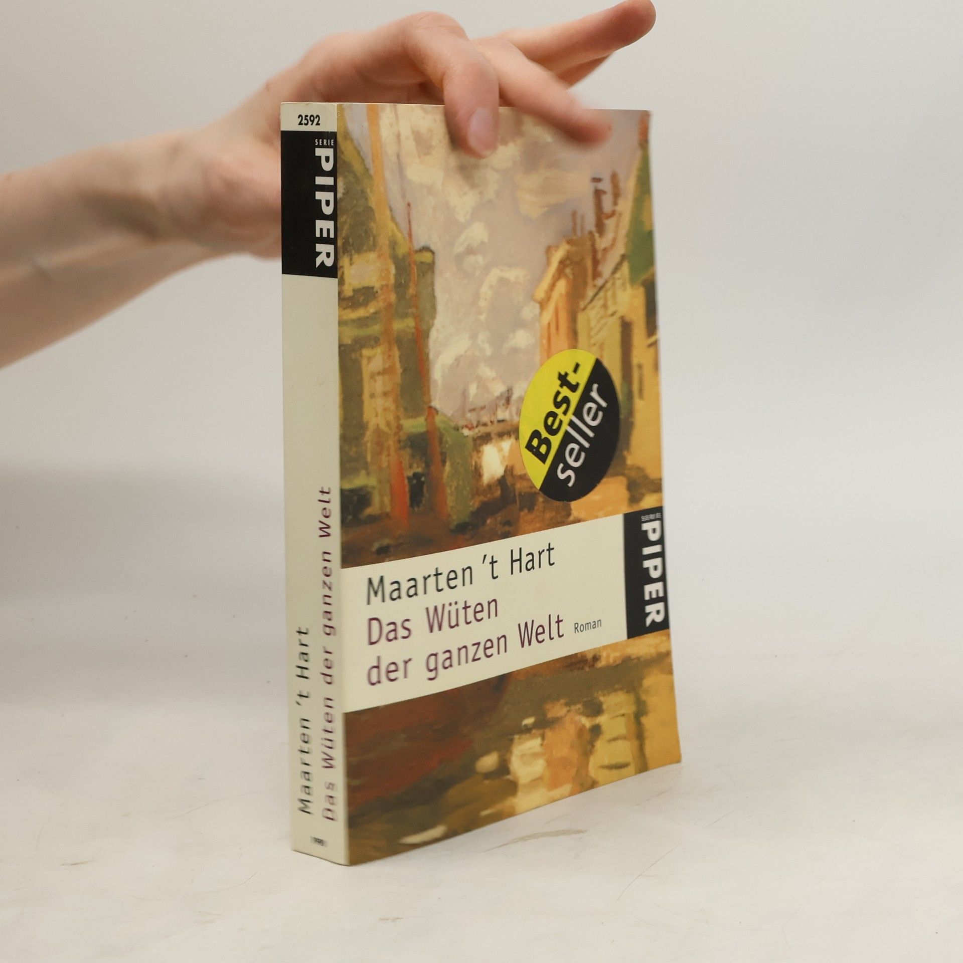Maarten t. Hart Das Wüten der ganzen Welt