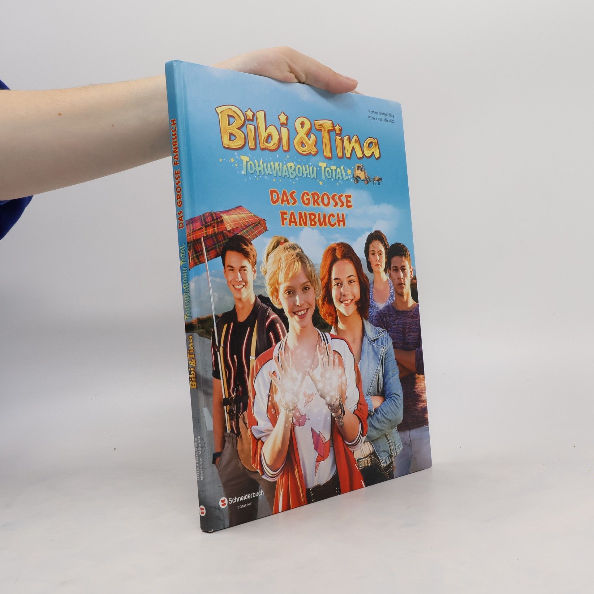 Bettina Börgerding Bibi & Tina - Tohuwabohu total: das große Fanbuch