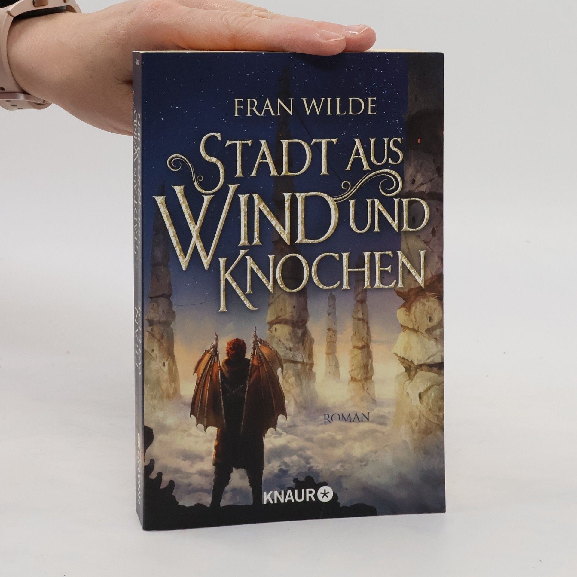 Fran Wilde Stadt aus Wind und Knochen