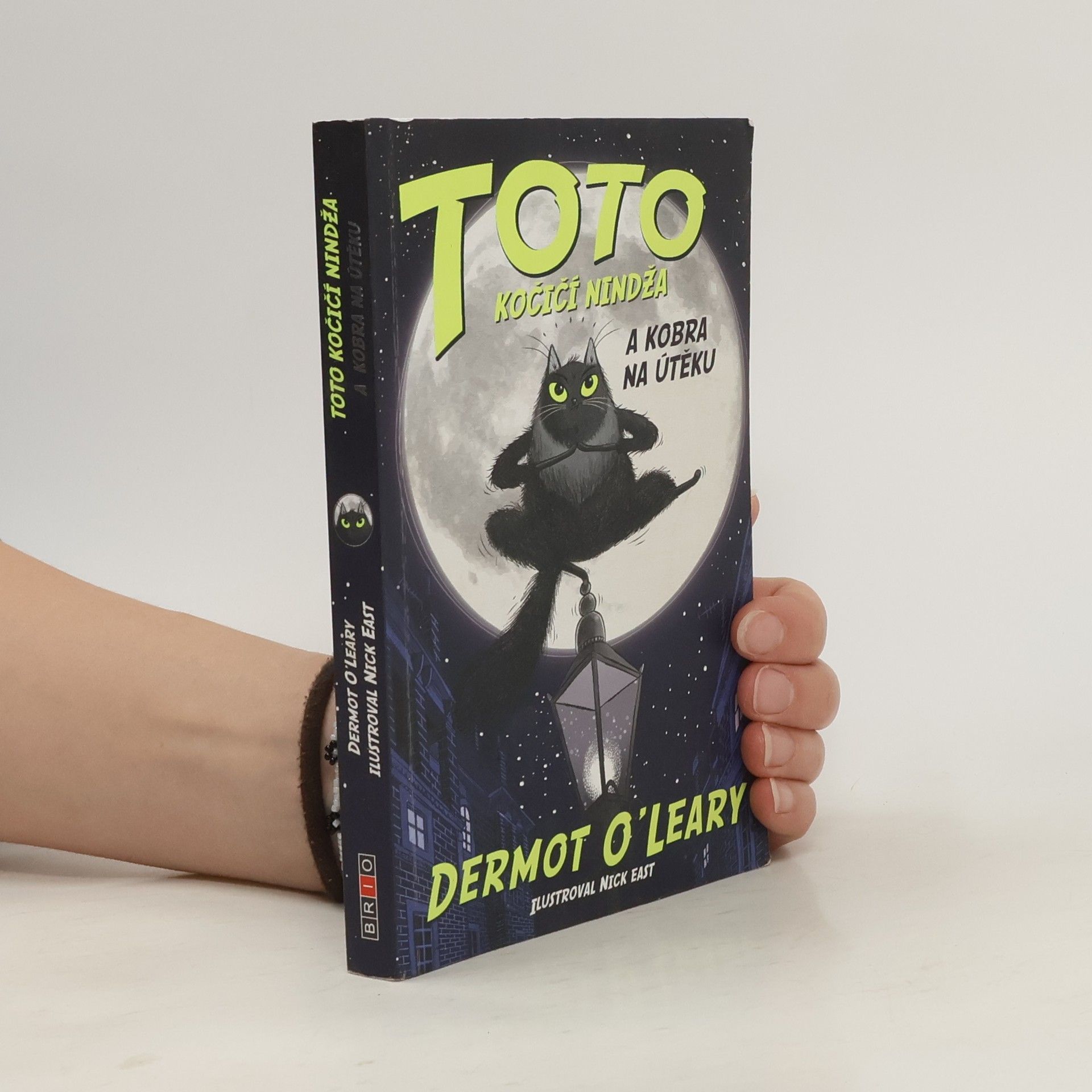 Dermot O\'Leary Toto kočičí nindža a kobra na útěku