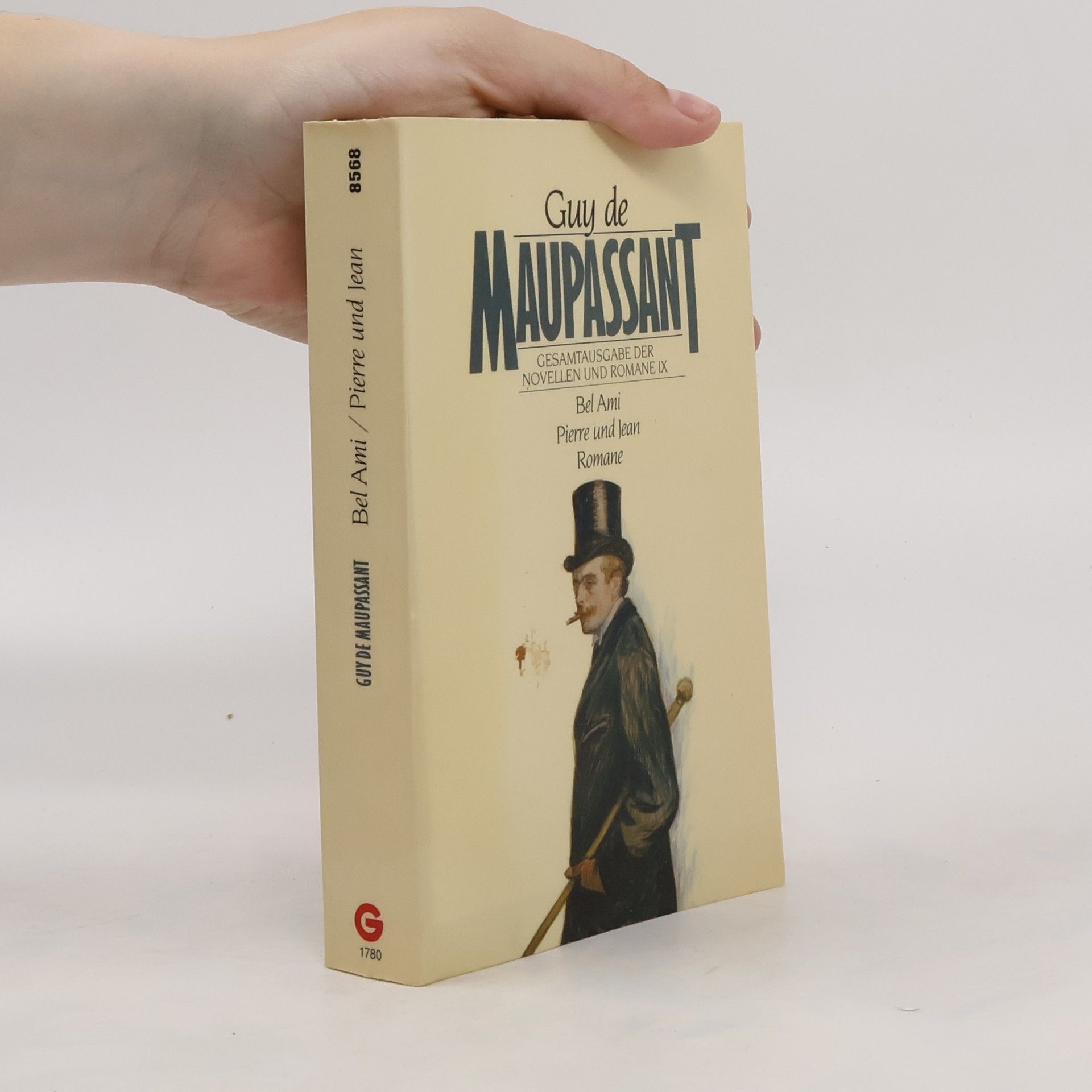 Guy de Maupassant Gesamtausgabe der Novellen und Romane IX