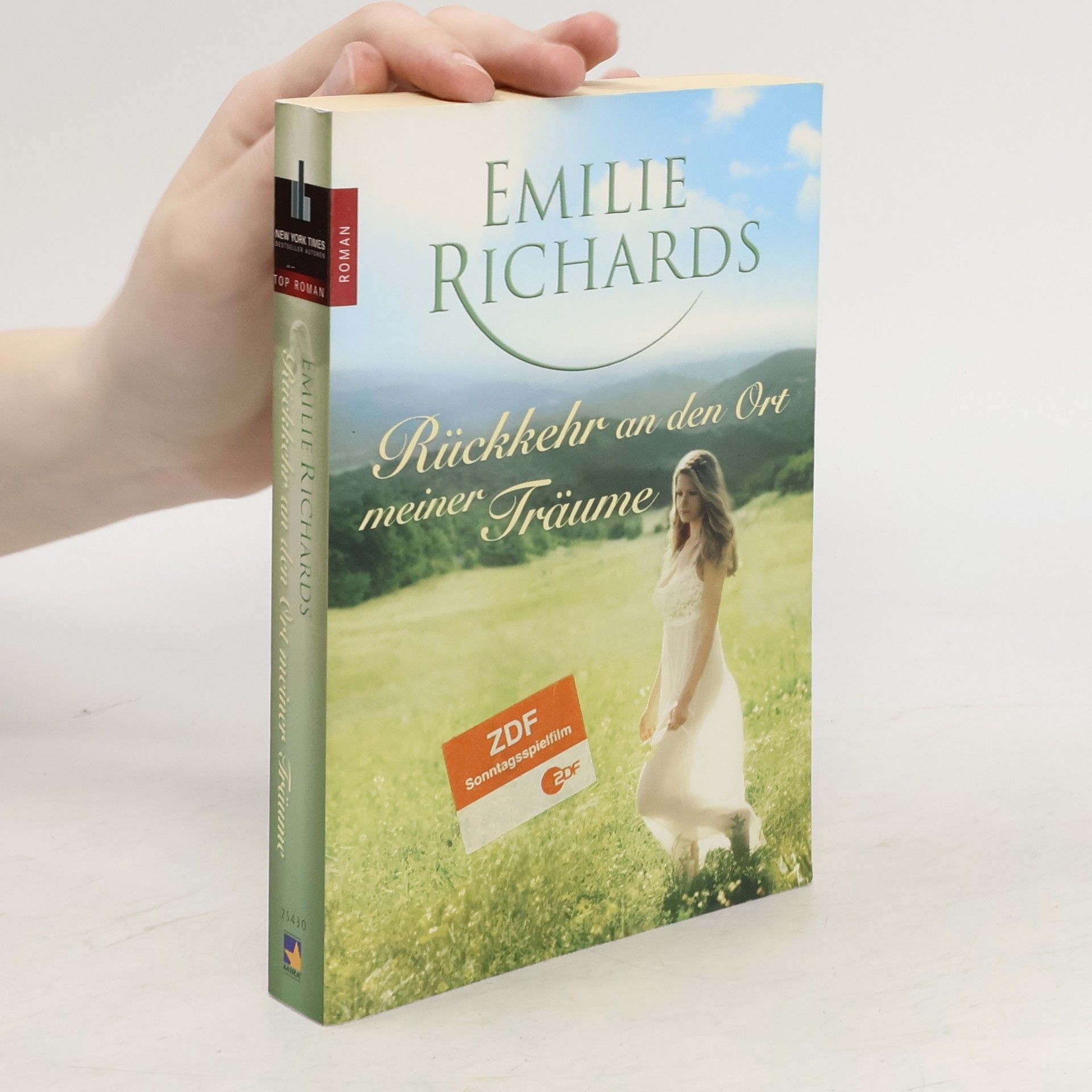 Emilie Richards McGee Rückkehr an den Ort meiner Träume